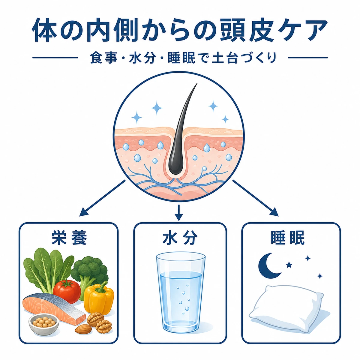 栄養・水分・睡眠で頭皮のうるおいを内側から支える生活習慣を表した医療イラスト