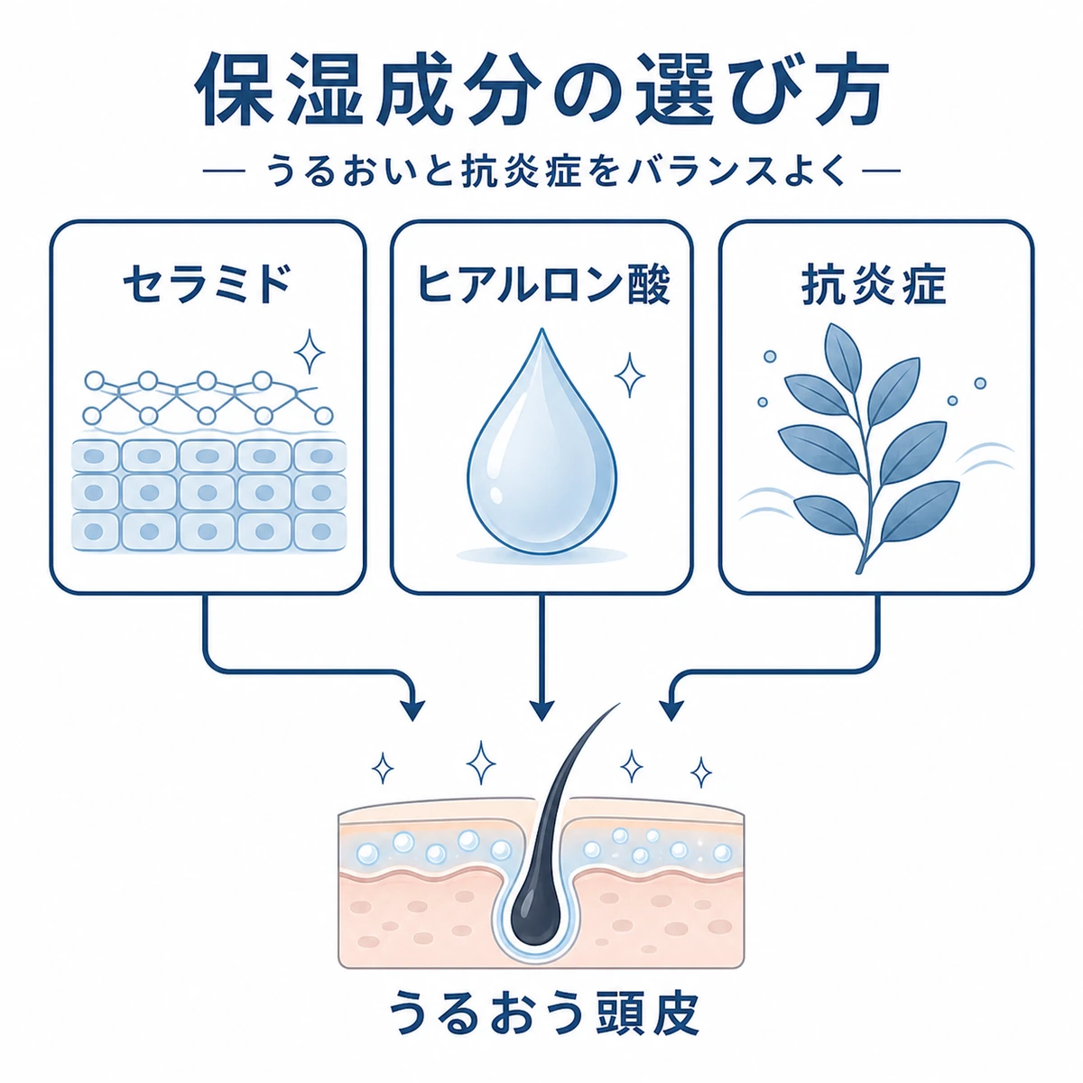 セラミドとヒアルロン酸と抗炎症成分が頭皮のうるおいを支える関係を表した医療イラスト