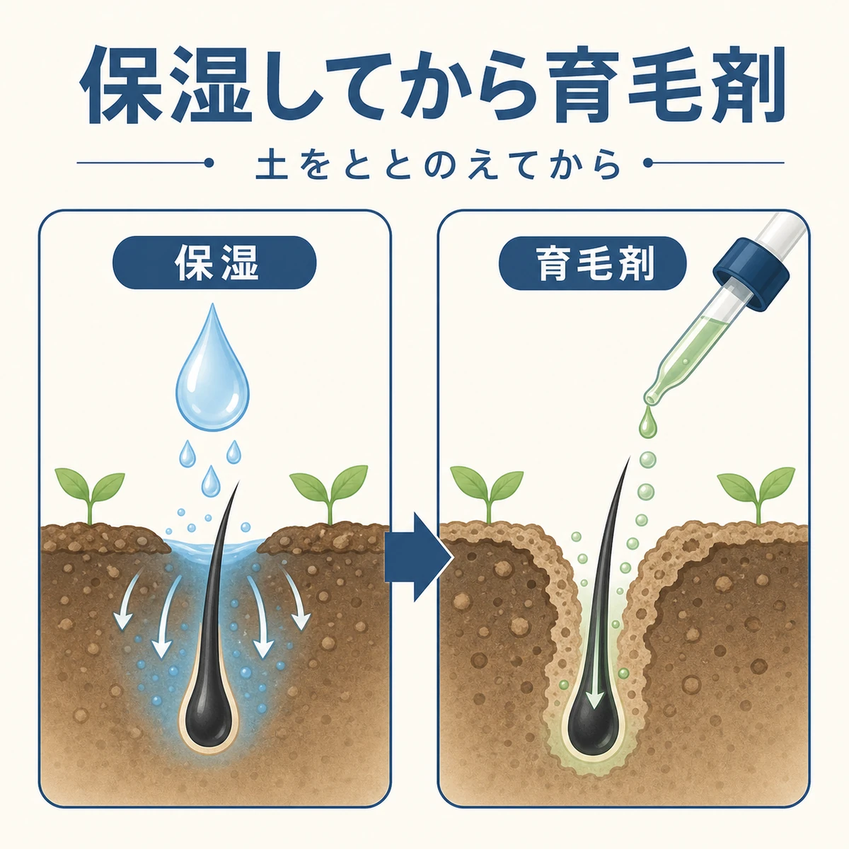 先に保湿して地肌をやわらげ育毛剤の成分が届きやすくなる順序を示した医療イラスト