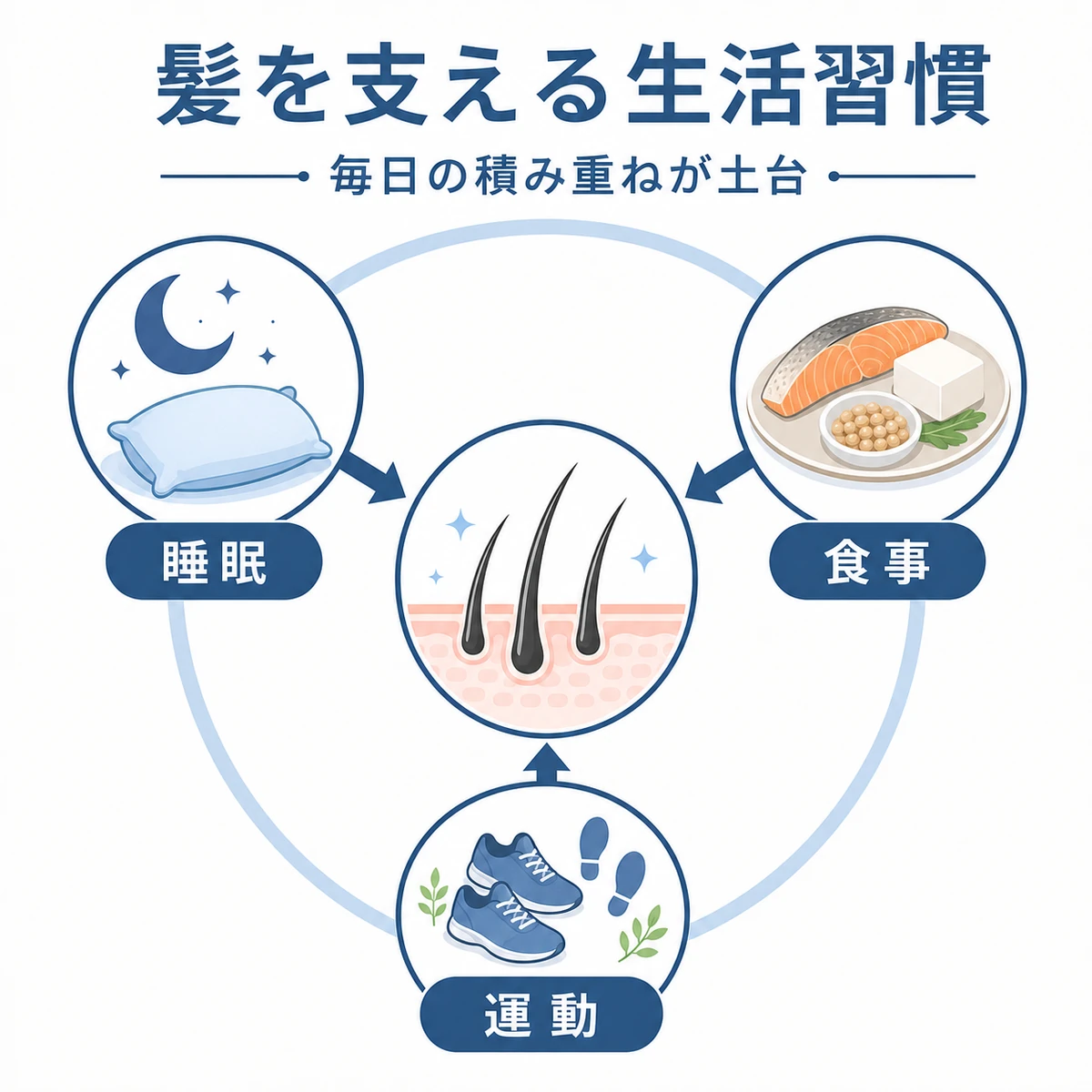 睡眠・食事・運動といった育毛を支える生活習慣を円環で表した医療イラスト
