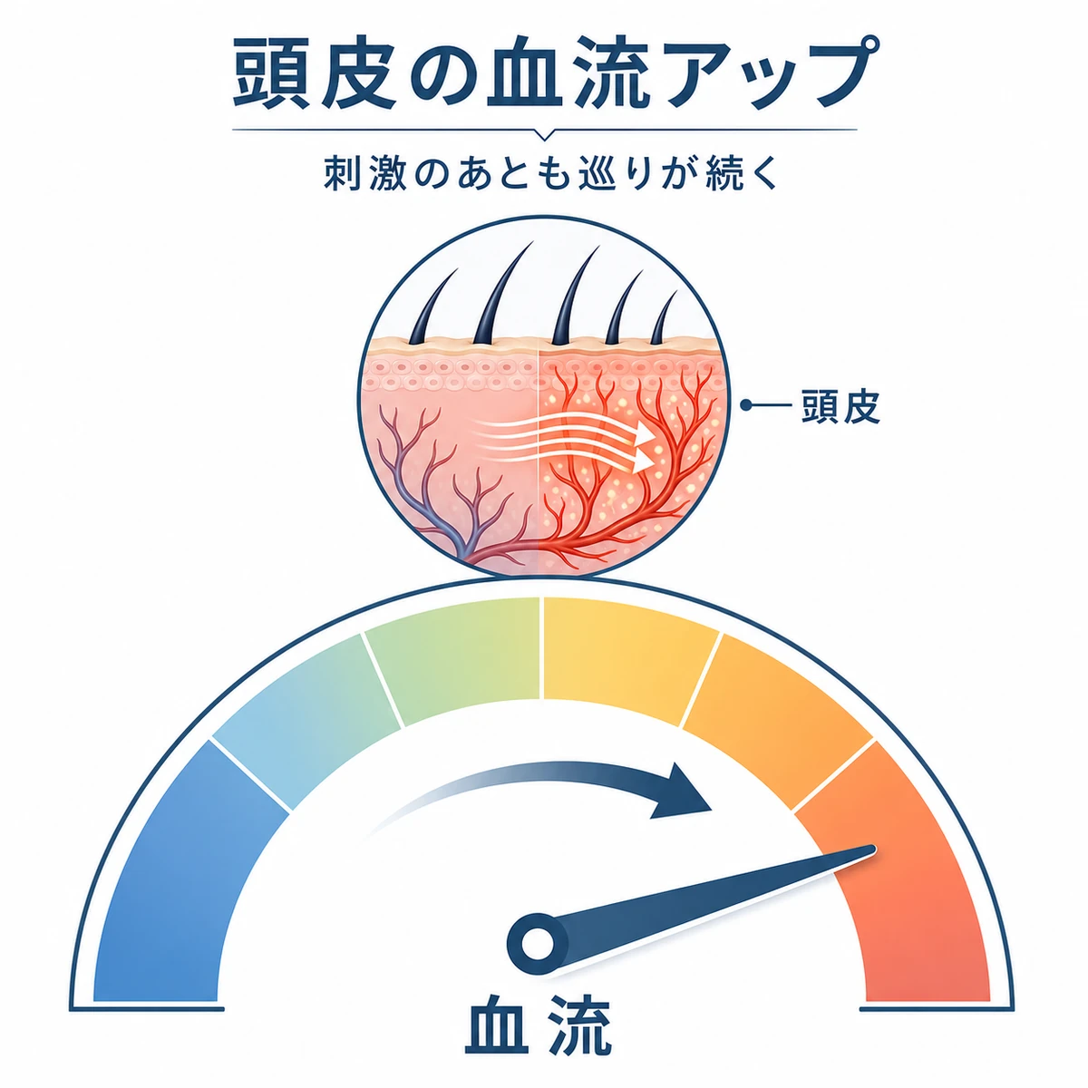 頭皮マッサージで血流が増え刺激後も持続する様子をメーターで表した医療イラスト