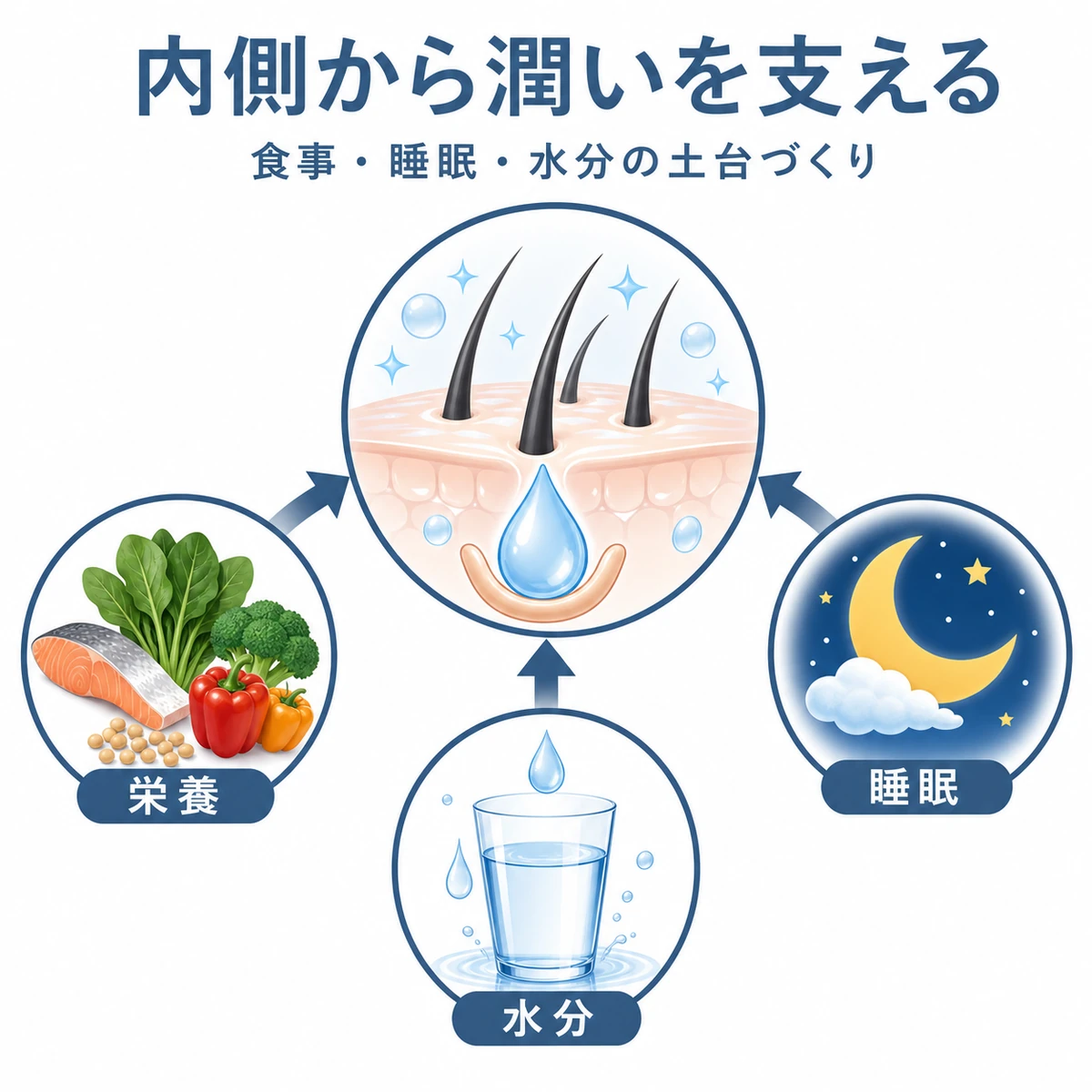 食事と睡眠と水分補給が体の内側から頭皮の潤いを支える関係を表した医療イラスト