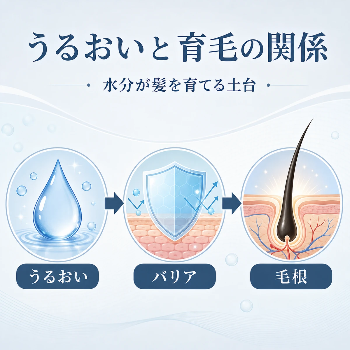 頭皮のうるおいがバリア機能を保ち毛根の育成につながる流れを表した医療イラスト