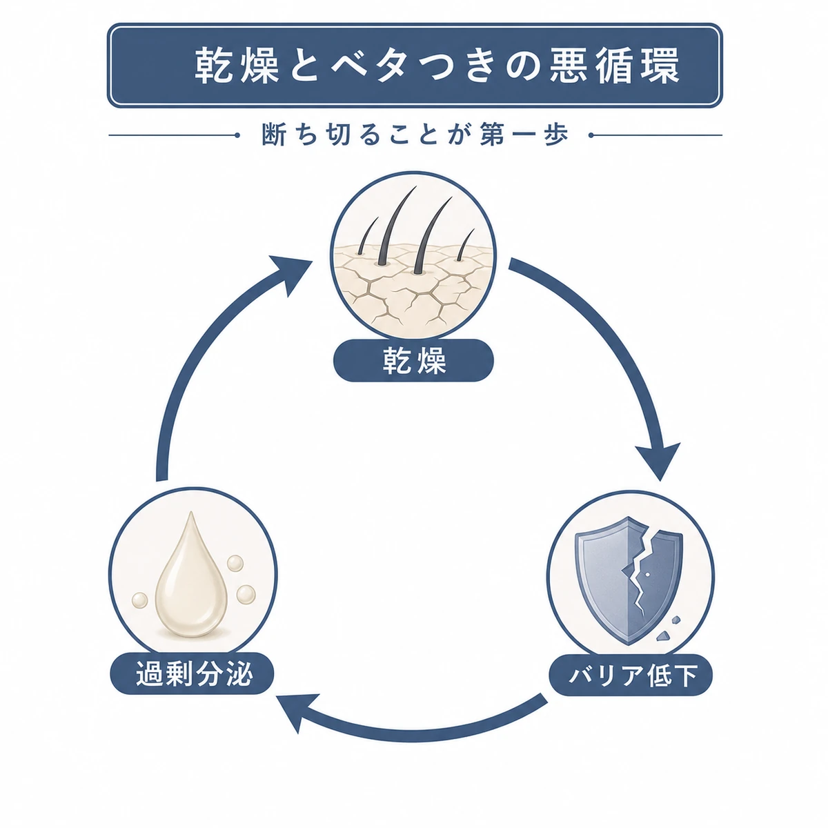 乾燥からバリア低下と皮脂の過剰分泌へと連鎖する頭皮の悪循環を円環で表した医療イラスト