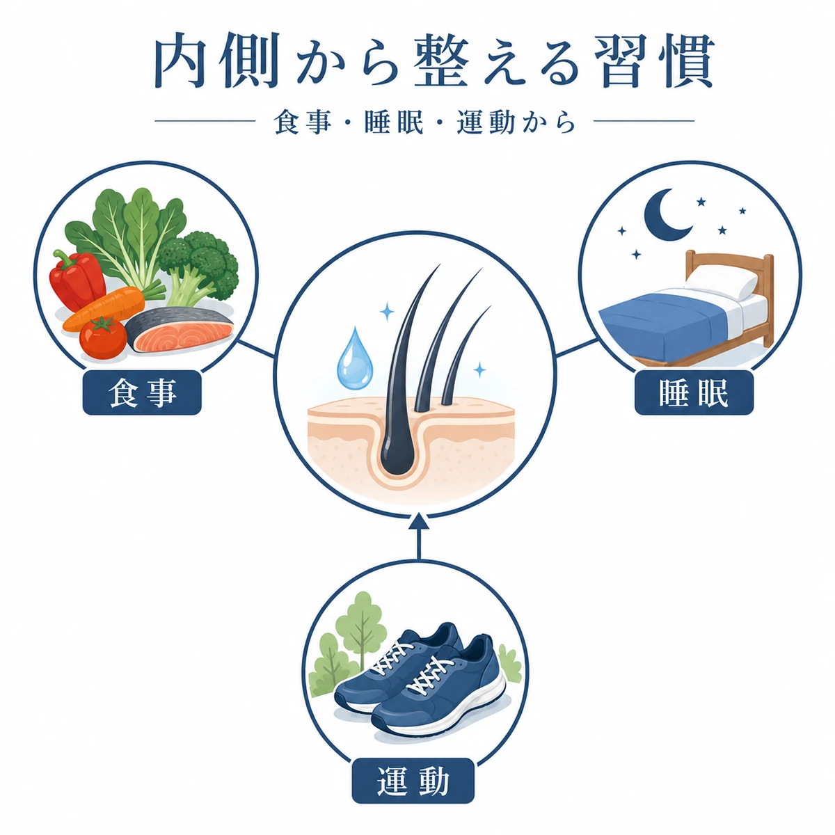 食事と睡眠と運動が頭皮環境を内側から整えることを放射状に表した育毛ケアの医療イラスト