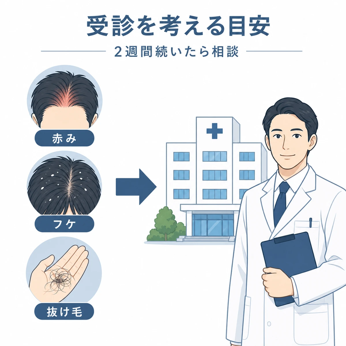 頭皮の赤みやフケや抜け毛が続いたら医療機関へ相談する流れを相関図で表した医療イラスト