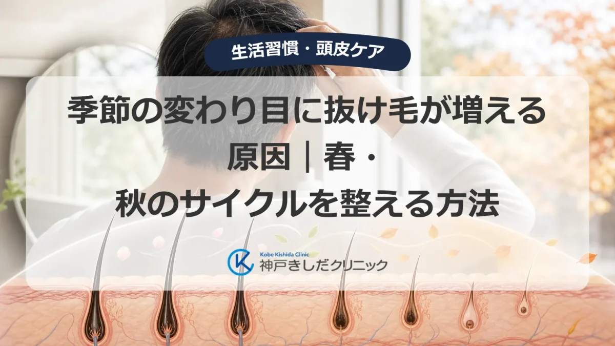 季節の変わり目に抜け毛が増える男性の頭皮と毛周期を示す医療イメージ