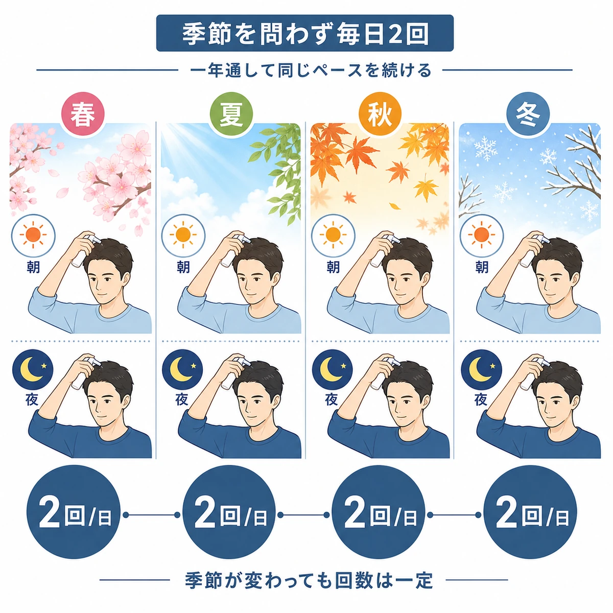 春夏秋冬いずれも育毛剤を1日2回続けることを横並びで表した医療イラスト