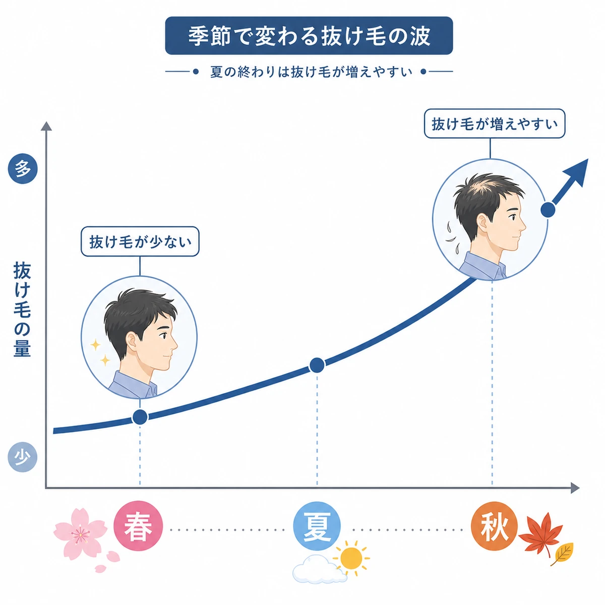 春に少なく秋へ向けて増える季節性の抜け毛の推移を右上がりの曲線で表した医療イラスト