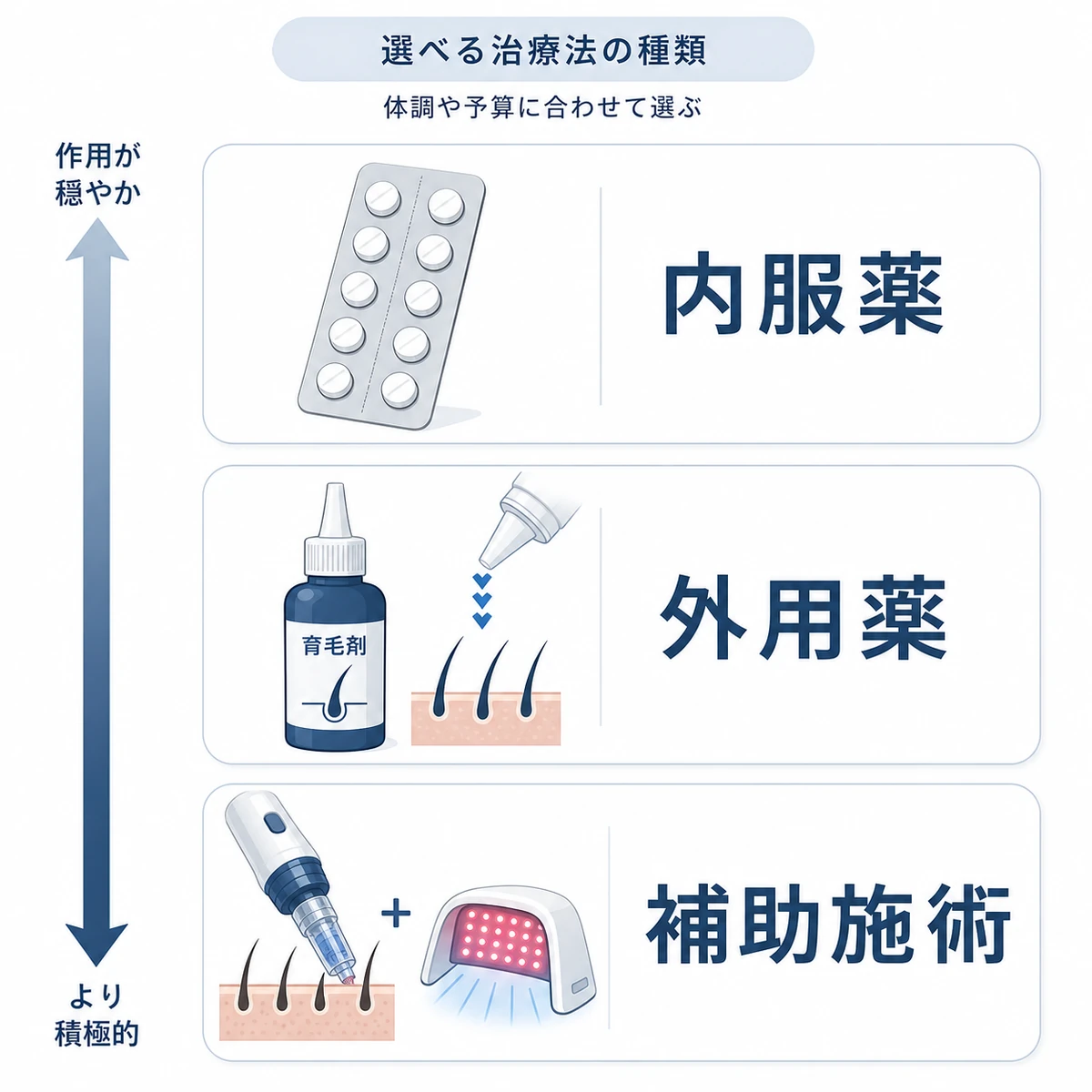 内服薬・外用薬・補助施術というシニア向けAGA治療法の種類を分類した医療イラスト