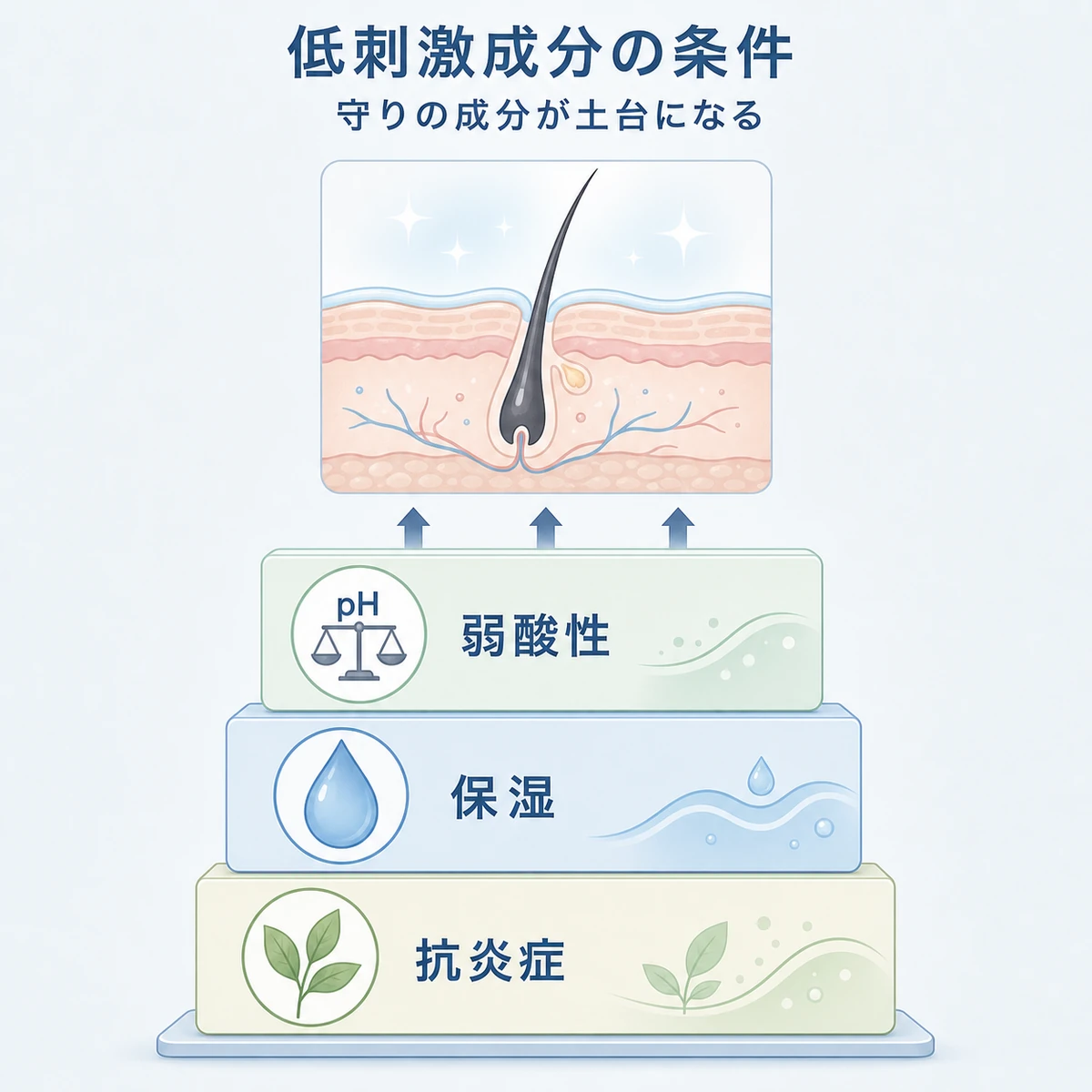 抗炎症・保湿・弱酸性の低刺激成分が健やかな頭皮を支える土台を表した医療イラスト