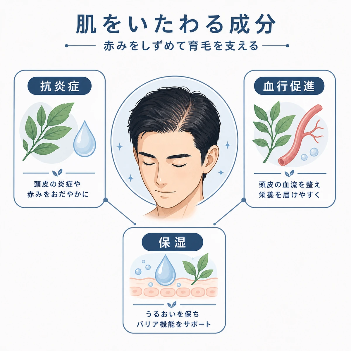 赤みやかゆみをしずめる低刺激の有効成分の働きを描いた医療イラスト