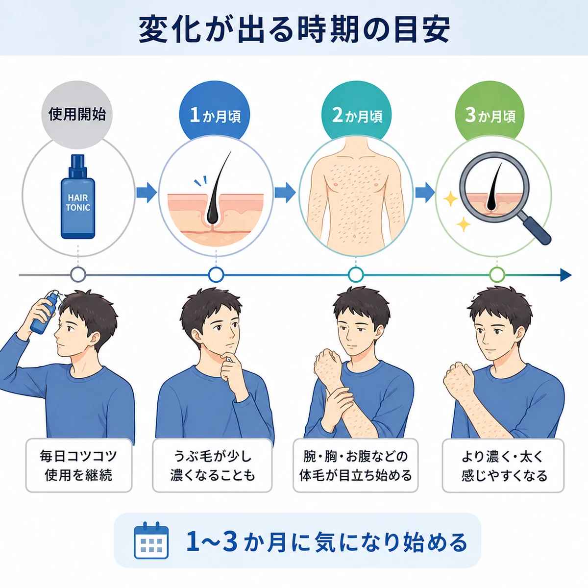育毛剤による体毛の変化が出やすい時期を使用開始からの経過で表した医療タイムラインイラスト
