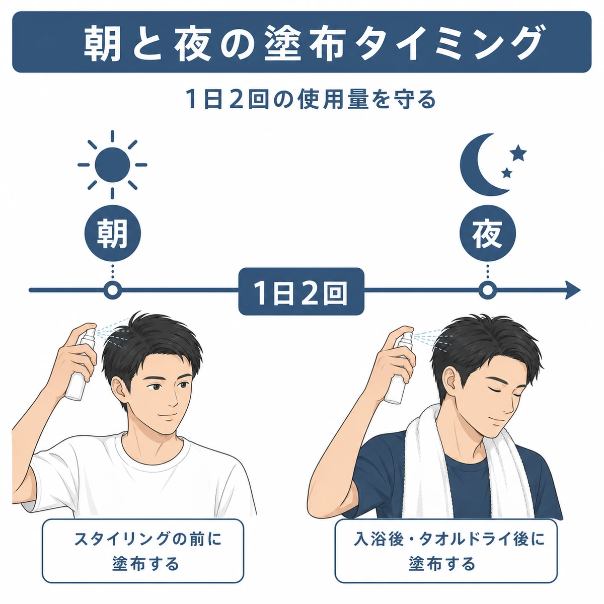 朝と夜の1日2回の塗布タイミングを左から右への時間軸で表した育毛イラスト