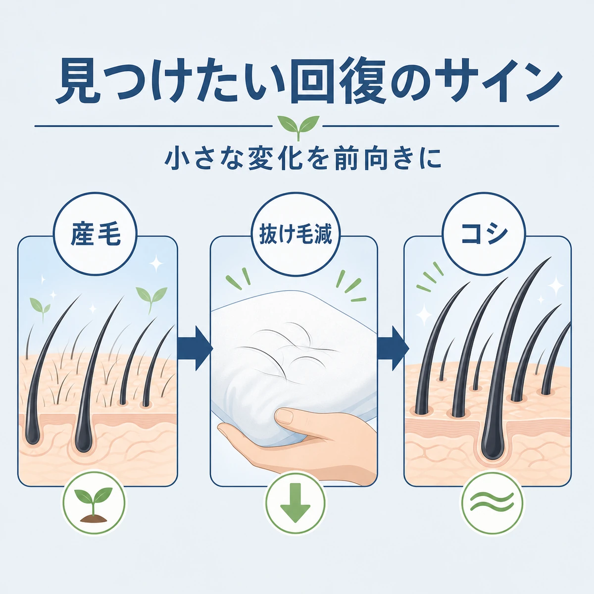 産毛の再生や抜け毛の減少など頭皮に現れる回復のサインを段階で表した医療イラスト