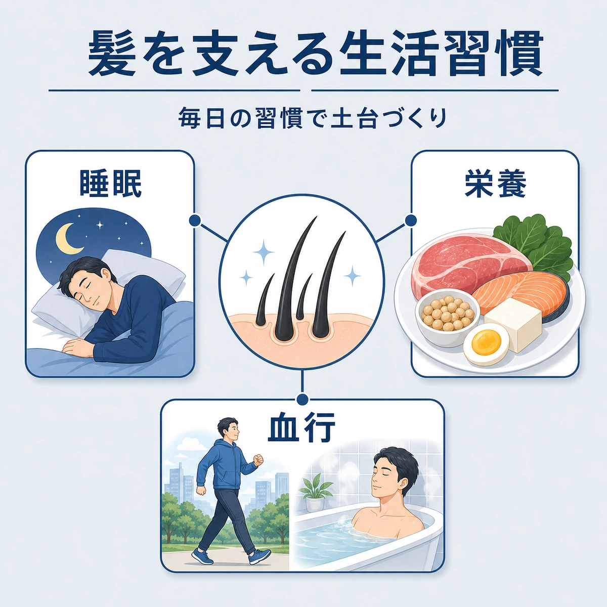 睡眠・栄養・血行の3つの生活習慣が髪の土台を支える様子を表した医療イラスト