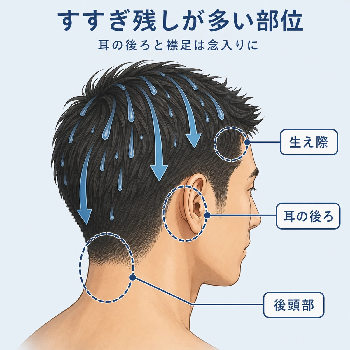 生え際や耳の後ろなどすすぎ残しが多い部位を頭部で示した育毛イラスト
