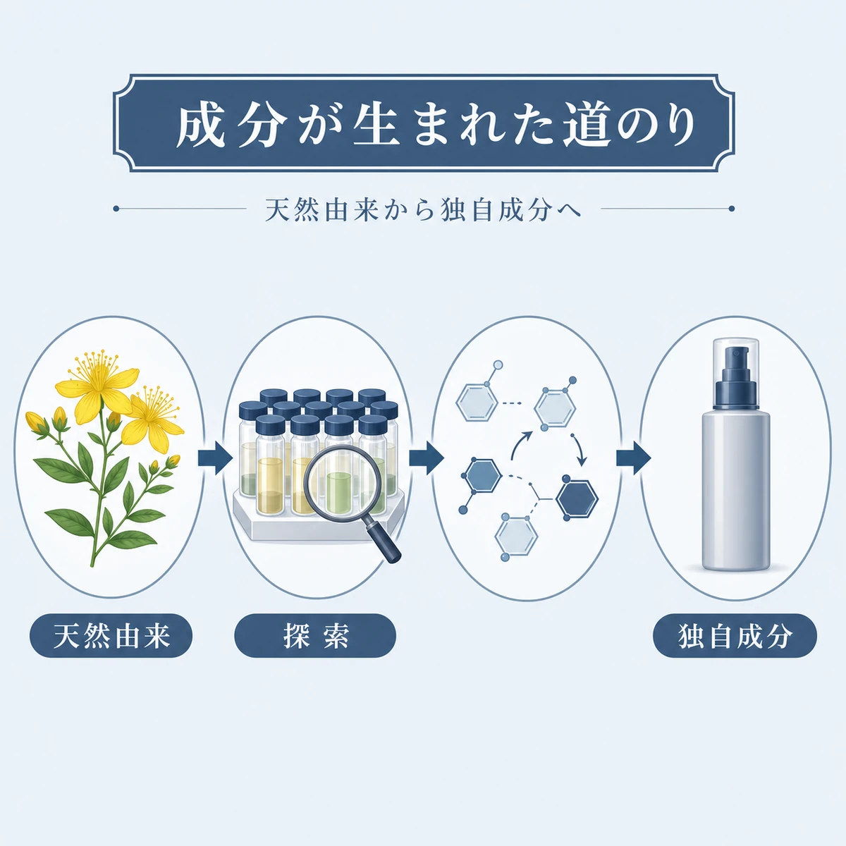 天然フラボノイドから独自の育毛成分t-フラバノンが生まれるまでの流れを表した医療イラスト