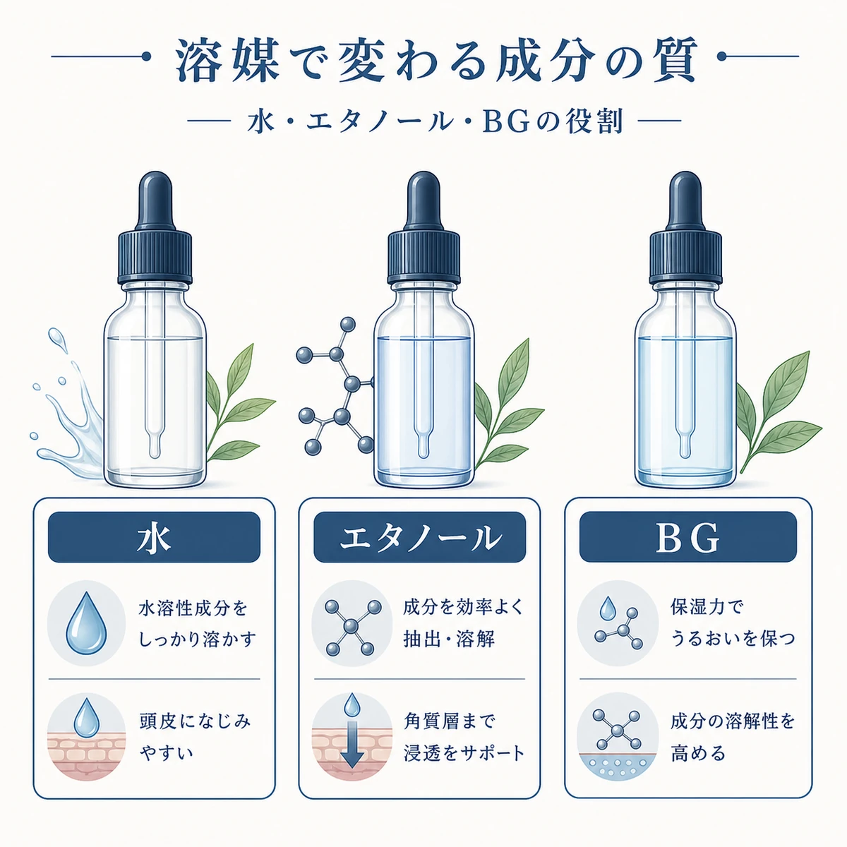水とエタノールとBGの3種類の溶媒それぞれの抽出特性と役割を対比したボタニカル調の医療イラスト