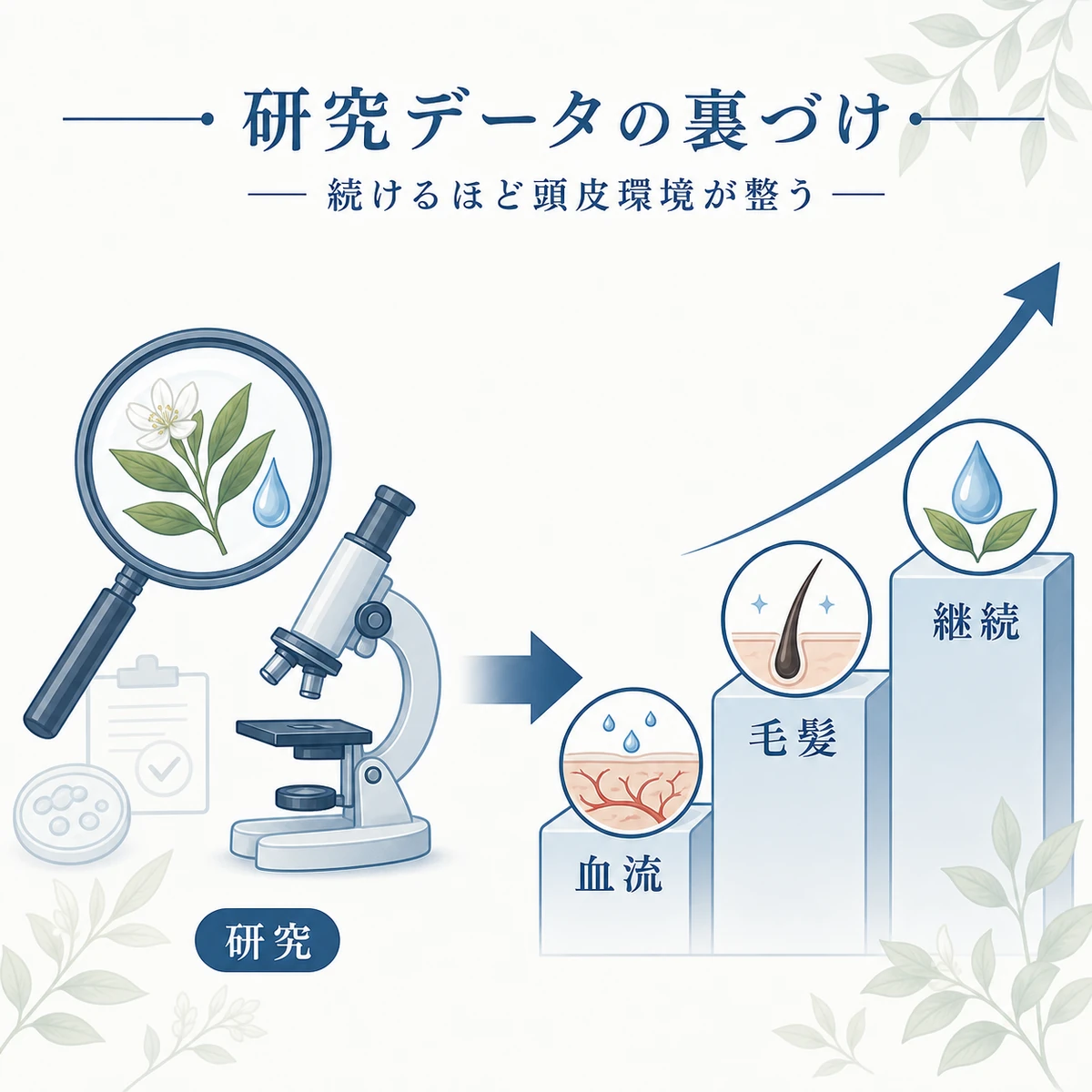 研究データによって確認されたセンブリエキスの血流や毛髪への働きを虫めがねと上昇バーで表した医療イラスト