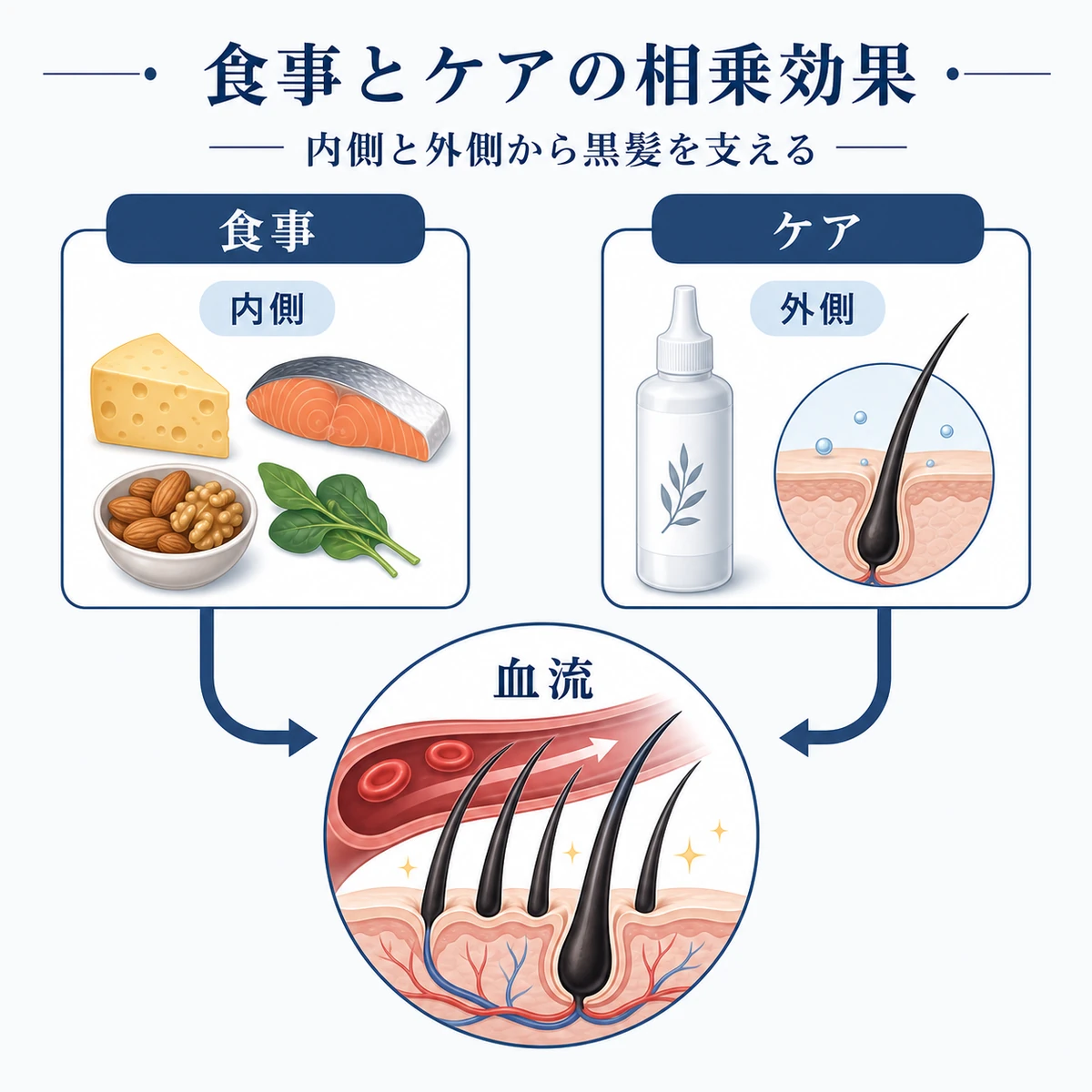 食事による内側のケアと頭皮の外側のケアが合流して黒髪を支える相乗効果を表した医療イラスト