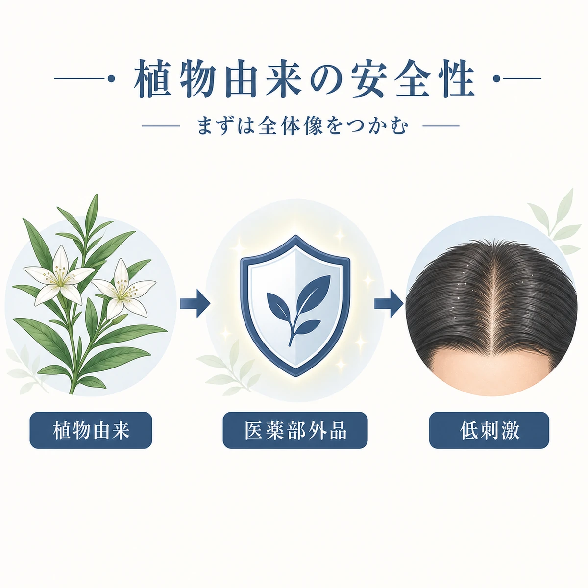 植物由来のセンブリエキスが医薬部外品として頭皮にやさしく働く安全性の全体像を表した医療イラスト
