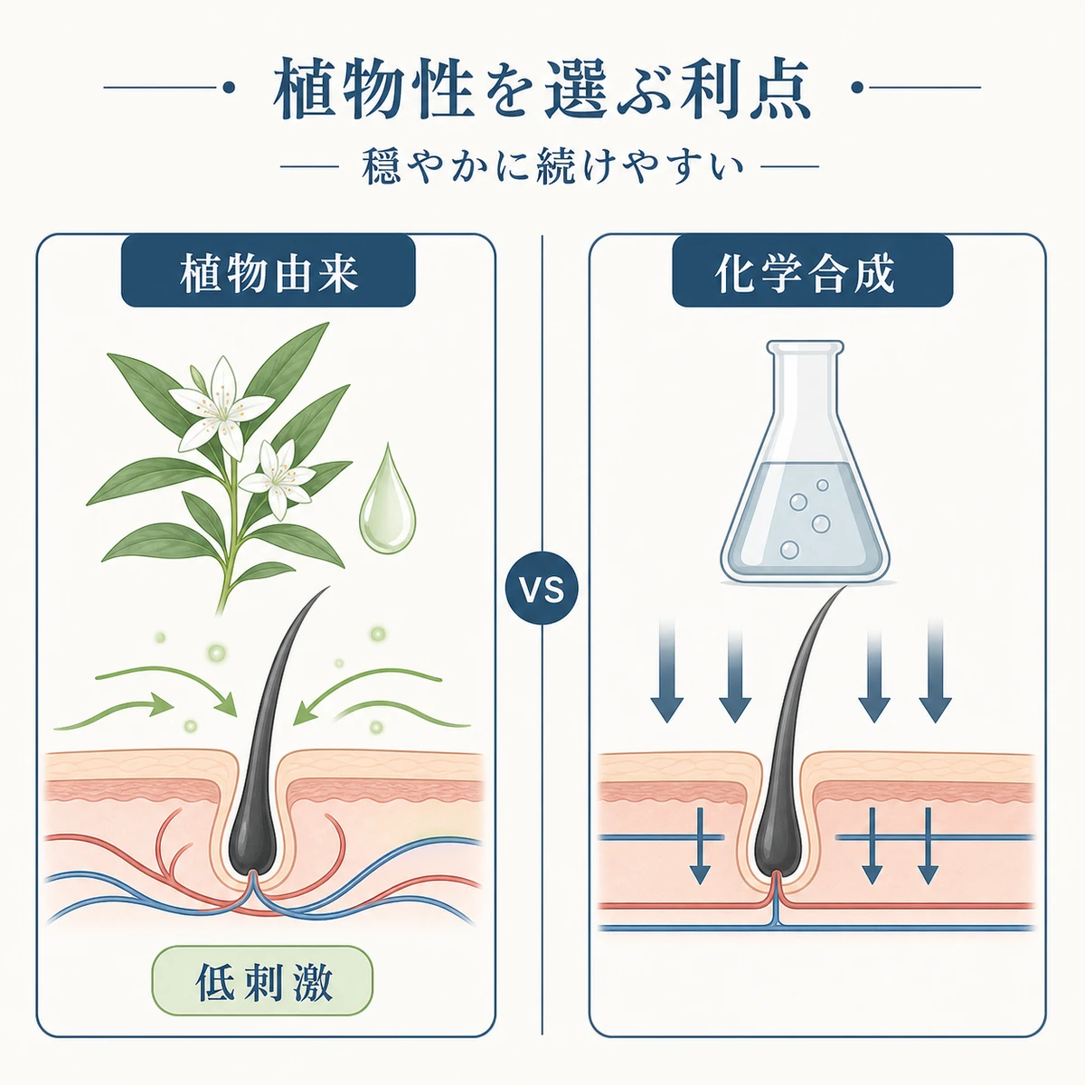 植物由来成分と化学合成成分の頭皮へのやさしさの違いを対比した医療イラスト