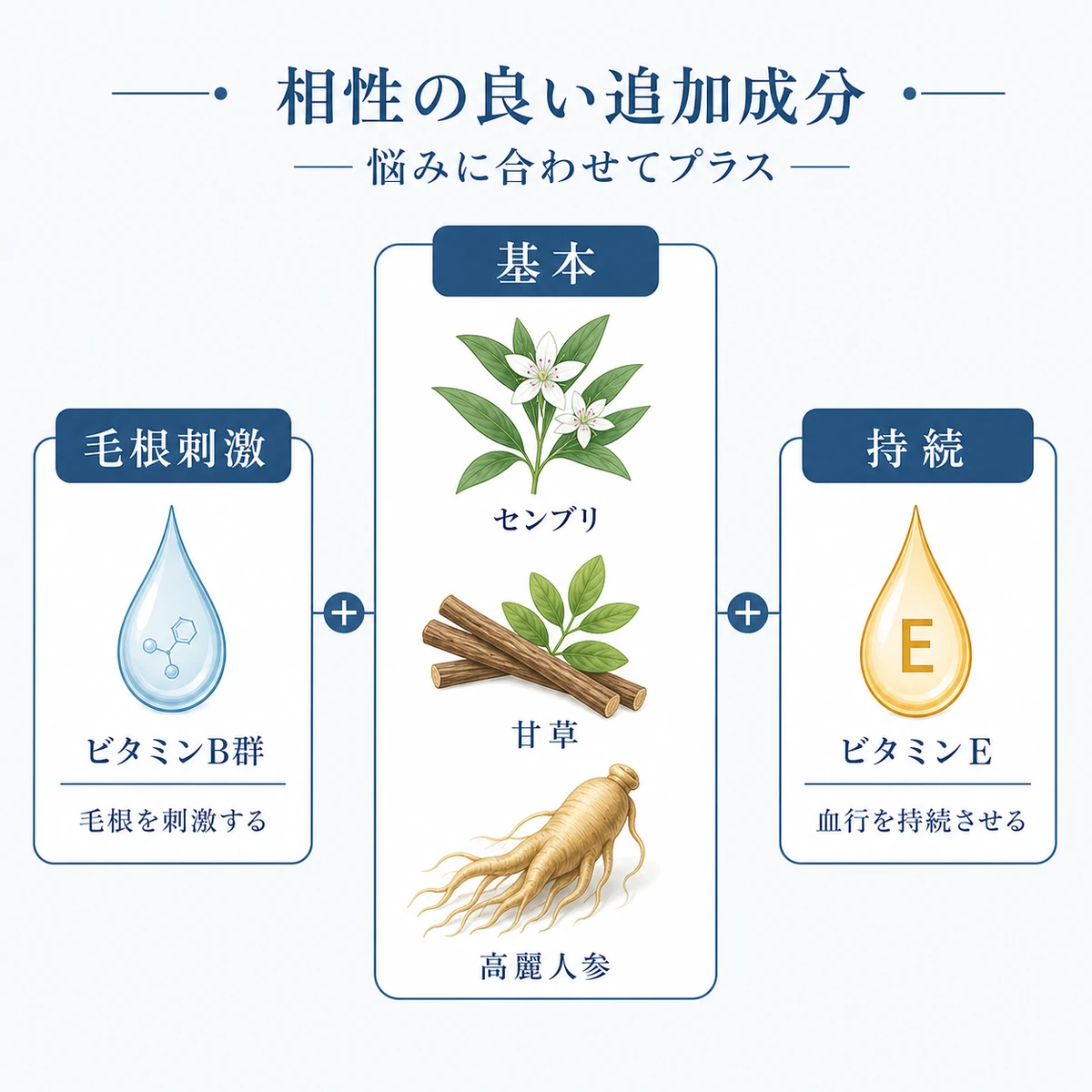 基本3成分に相性の良い育毛成分を組み合わせる考え方を表した医療イラスト