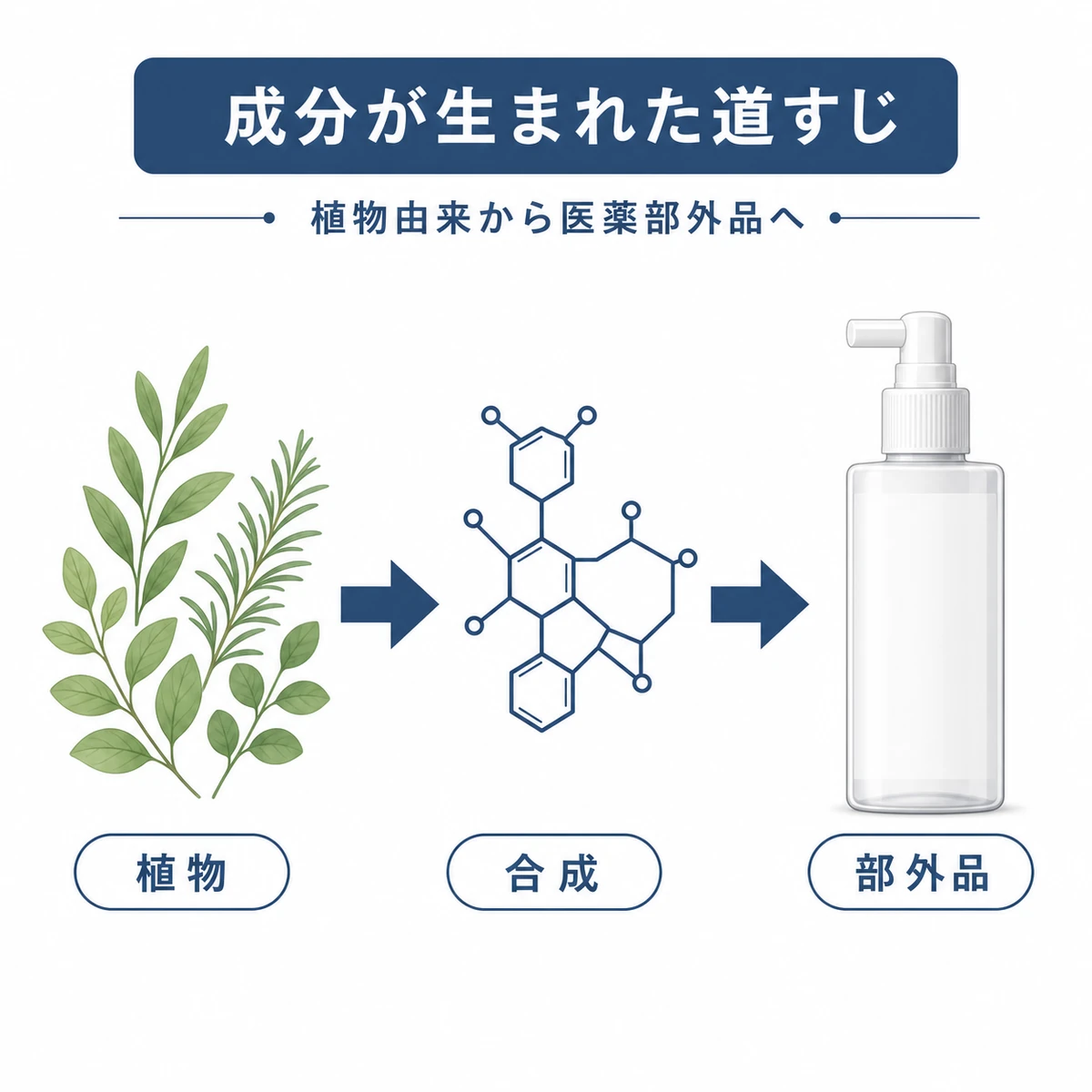 植物由来の成分から合成され医薬部外品になるまでの流れを表した医療イラスト
