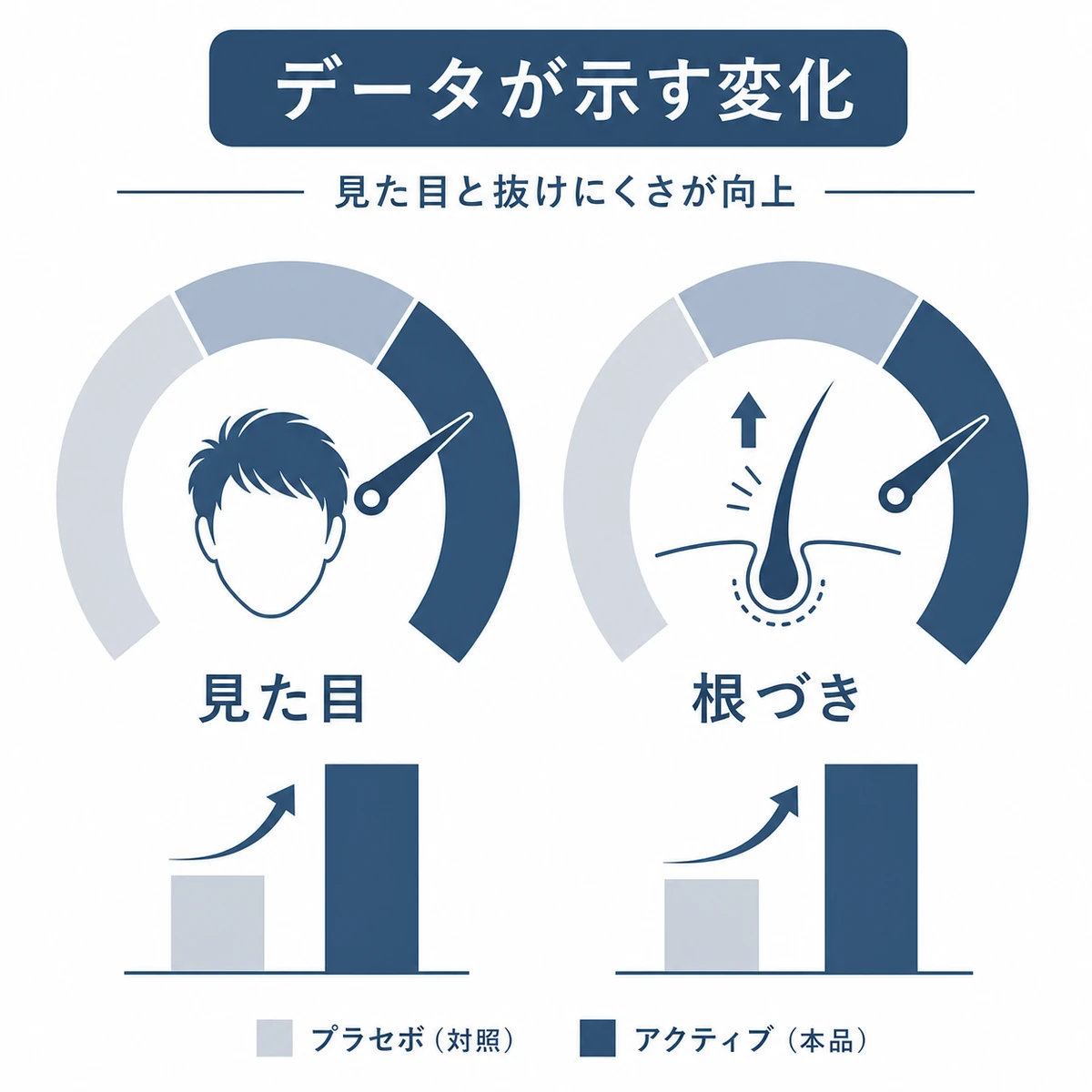 見た目の改善と毛髪の抜けにくさの向上をメーターで表した育毛の医療イラスト