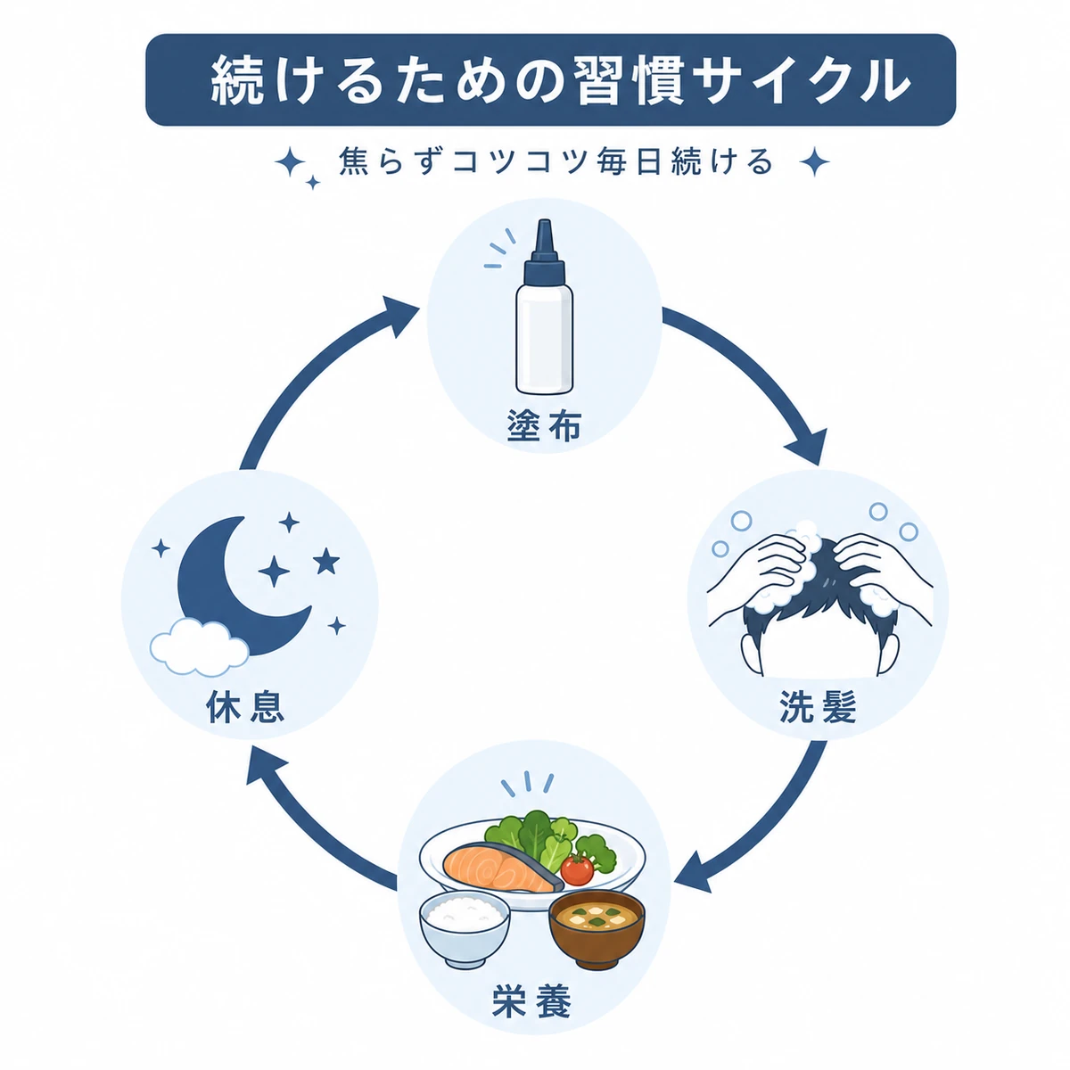 育毛剤の塗布と頭皮ケアを毎日続ける習慣サイクルを表した医療イラスト
