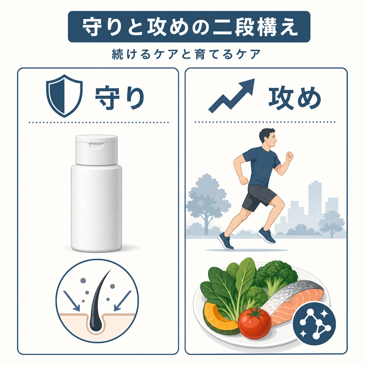 40代50代の育毛ケアを守りと攻めの二段構えで表した医療イラスト
