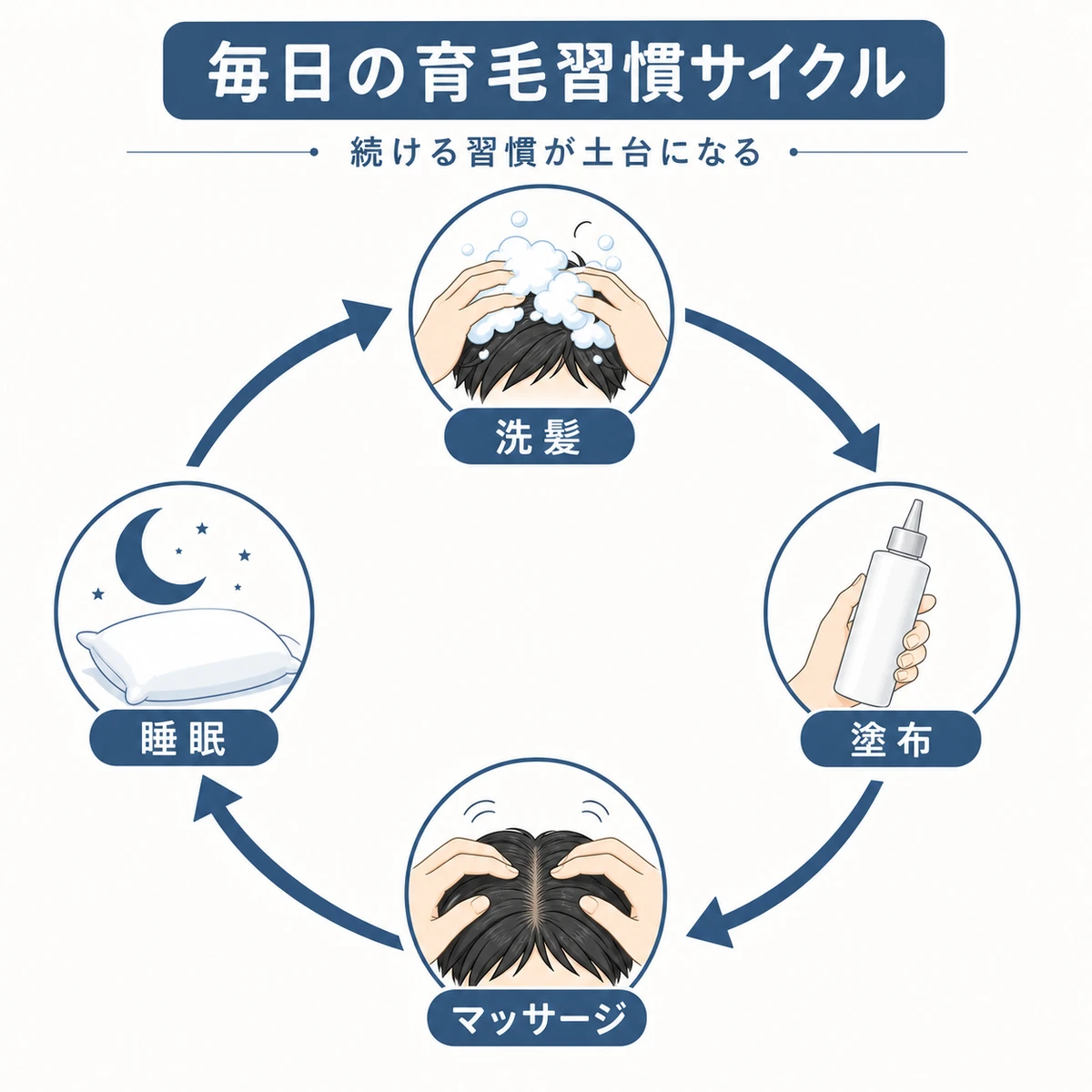 洗髪から塗布マッサージ睡眠まで毎日の育毛習慣のサイクルを表した医療イラスト