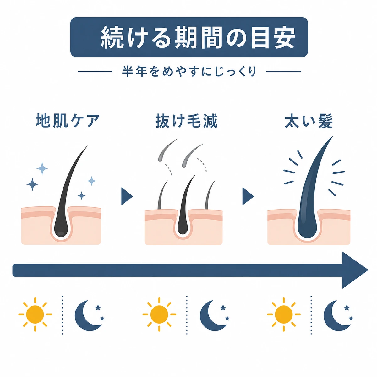 地肌ケアから太い髪へ進む継続期間の流れを左から右のタイムラインで表した医療イラスト