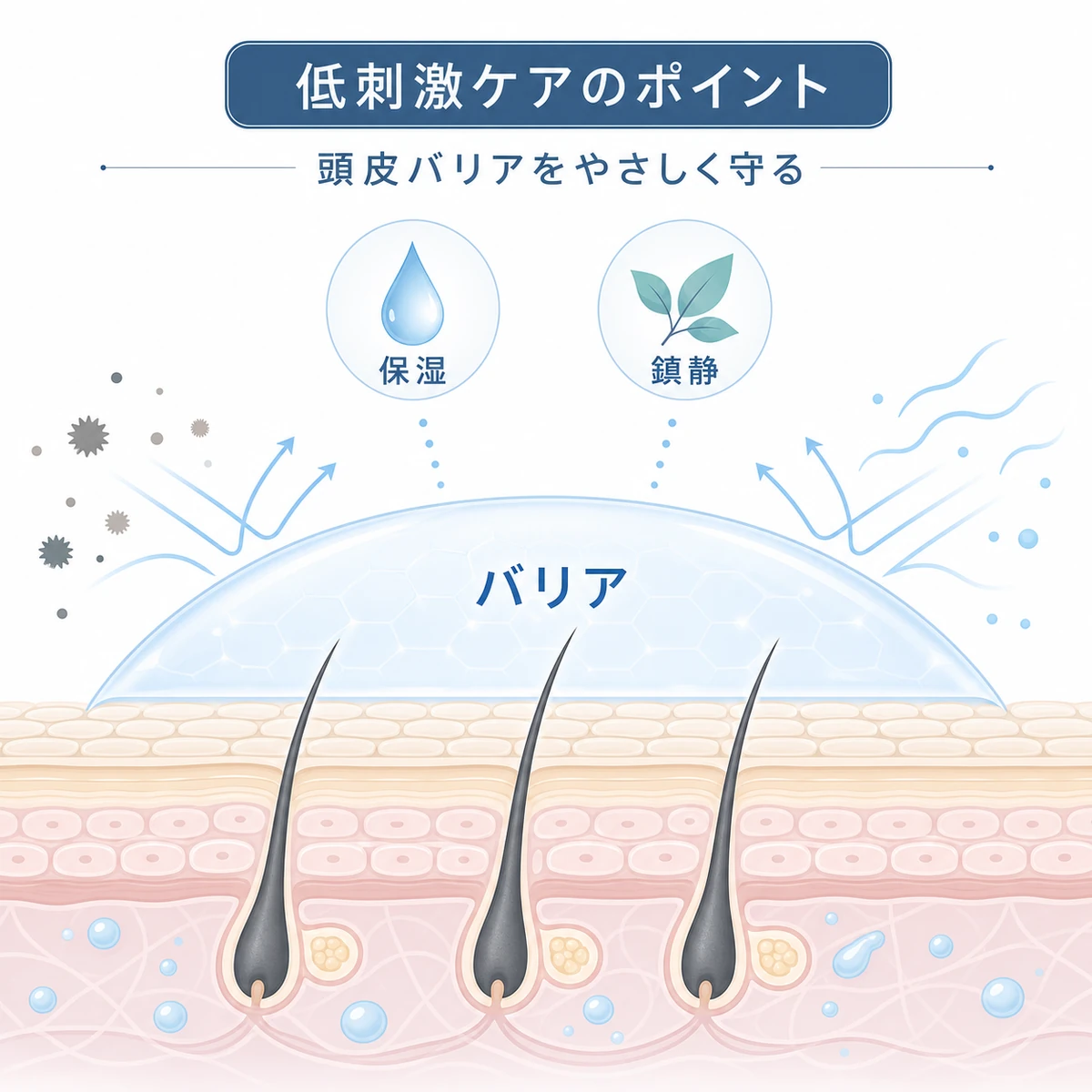 頭皮バリアを守りながら低刺激で育毛ケアを続けるポイントを表した医療イラスト