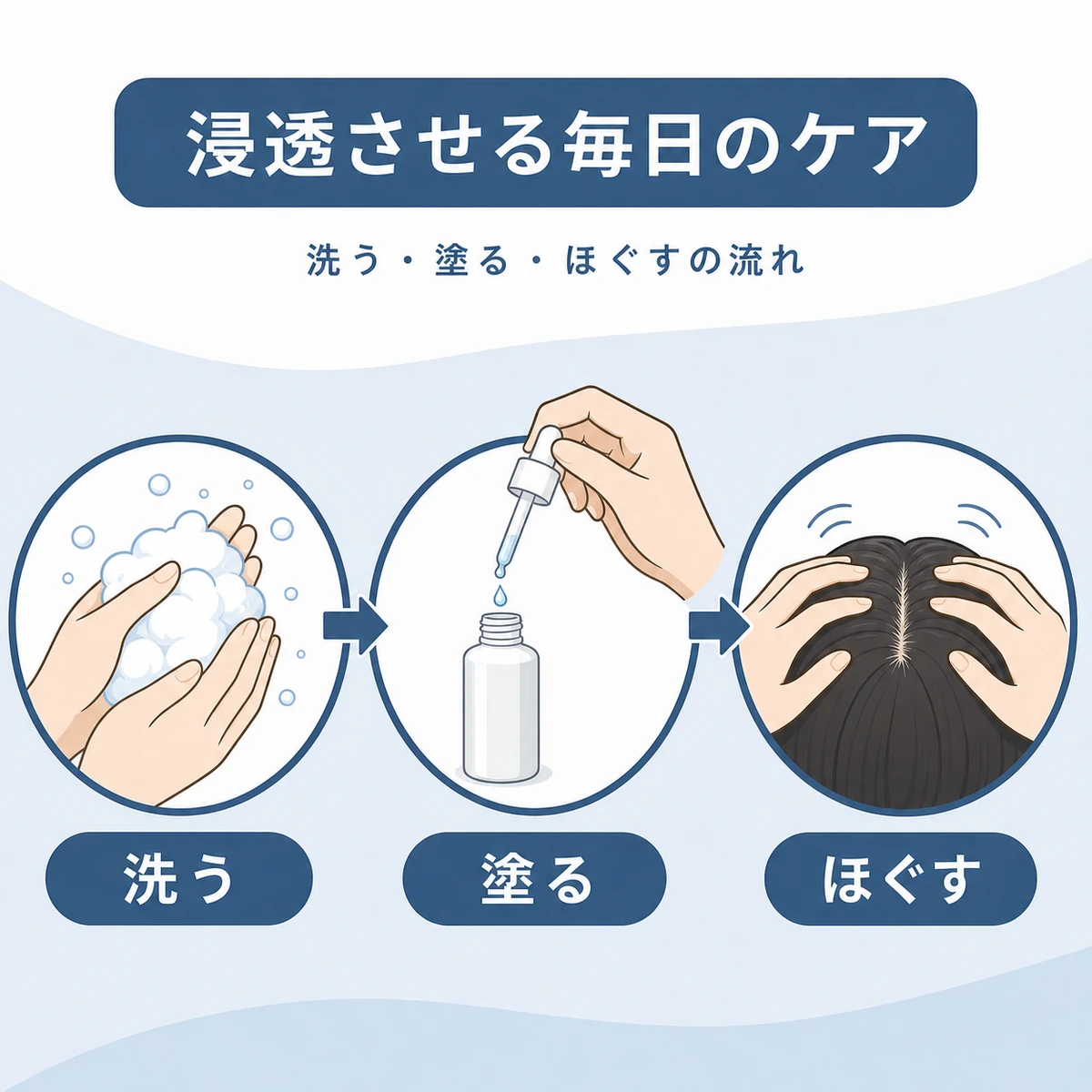 洗う塗るほぐすの流れでt-フラバノンを頭皮に浸透させるケア手順を表した医療イラスト
