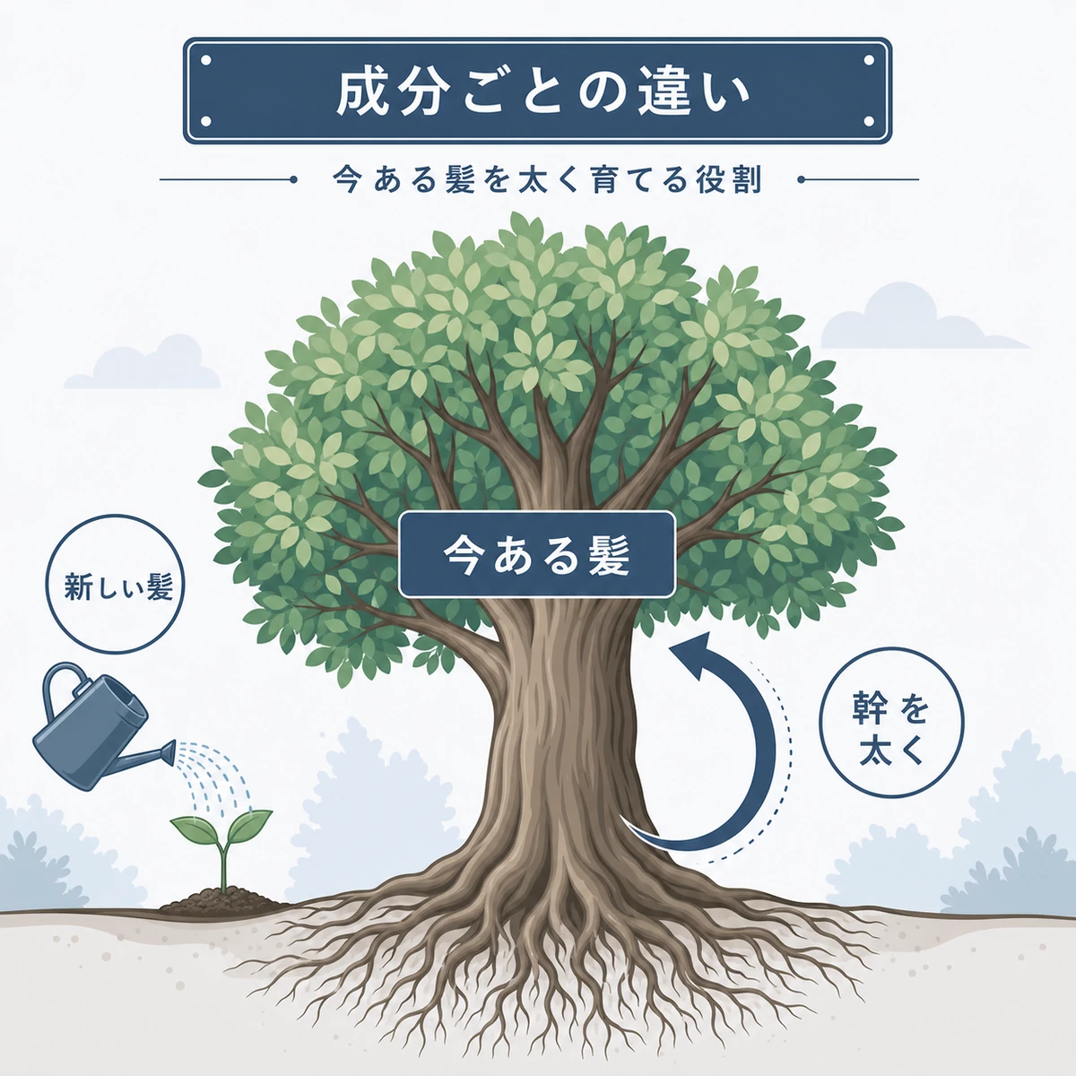 育毛成分の役割の違いを木にたとえて表した医療イラスト
