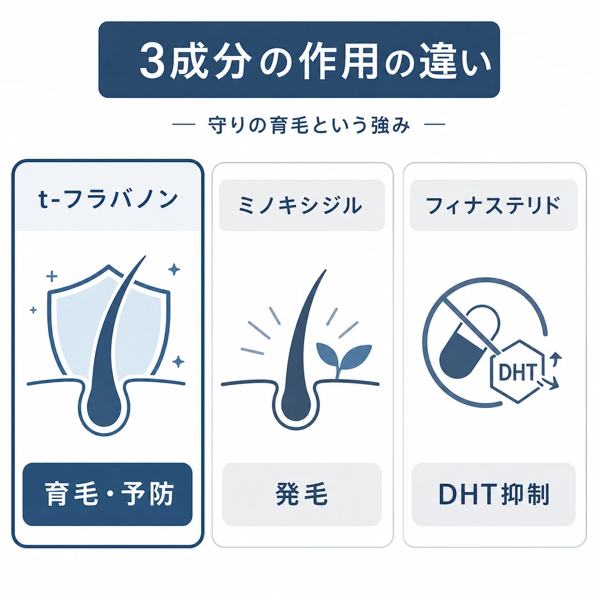 t-フラバノンとミノキシジルとフィナステリドの作用の違いを対比した医療イラスト