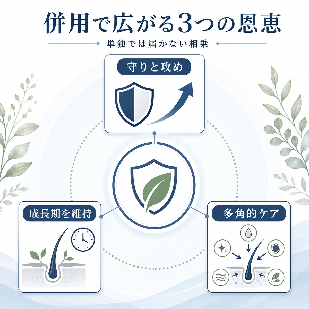 t-フラバノンとセンブリエキス併用で得られる3つの恩恵を放射状に分類した医療イラスト