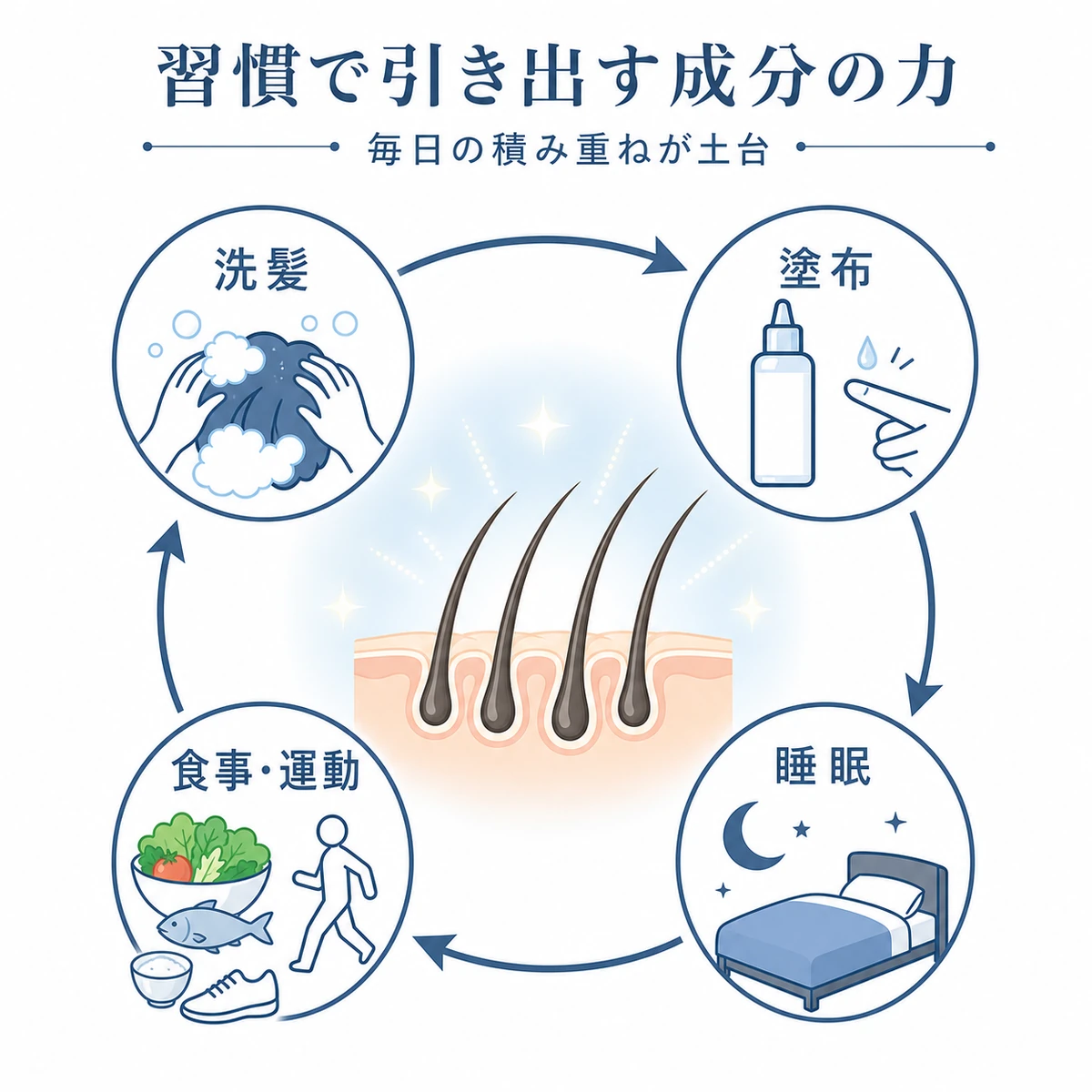 洗髪・塗布・睡眠・食事運動の生活習慣を円環でつないだ頭皮ケアの医療イラスト