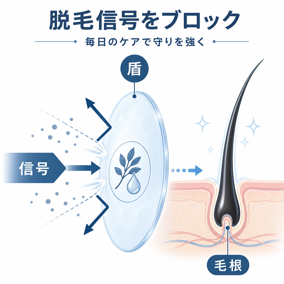 抜け毛信号を成分の盾がはね返し毛根を守るしくみを表した医療イラスト