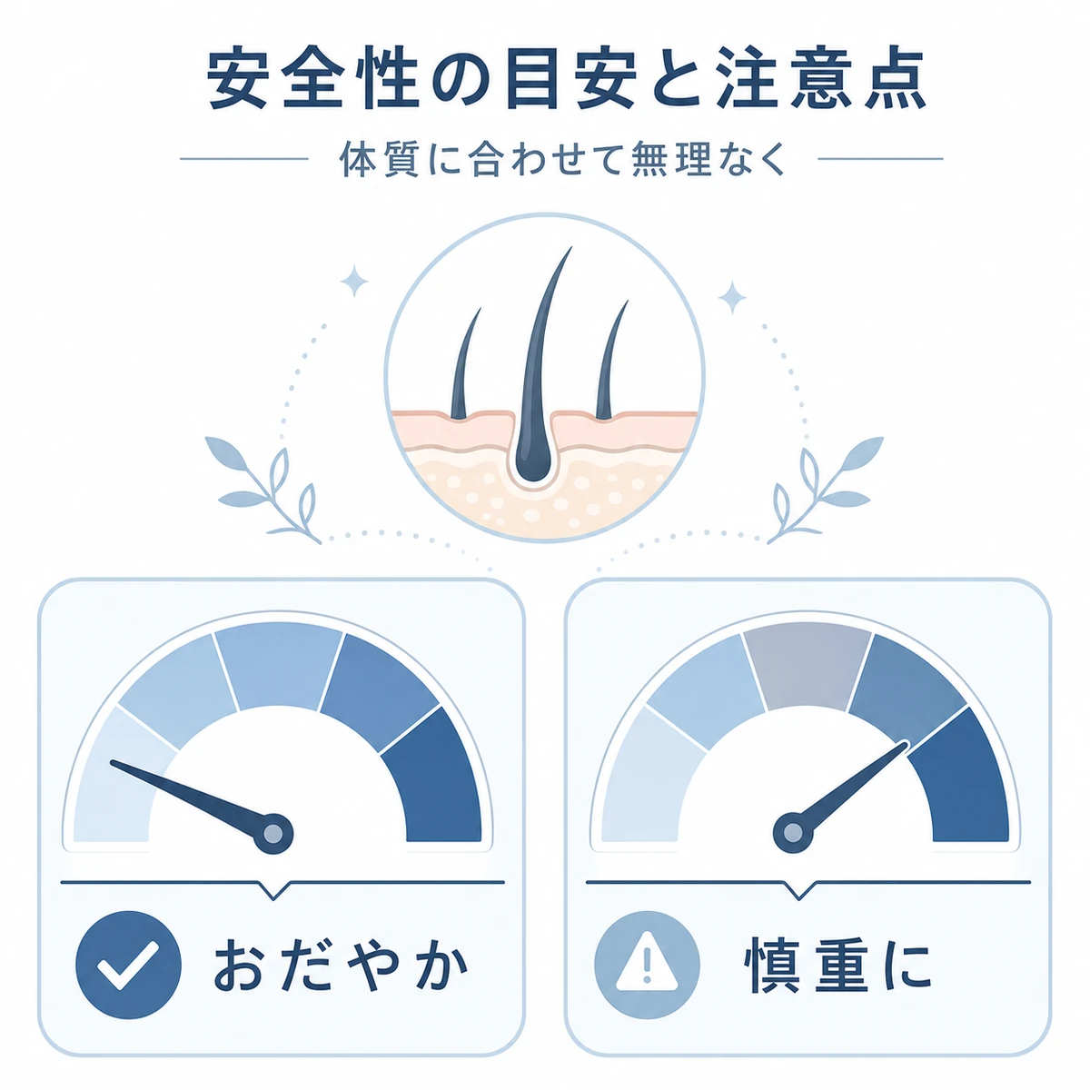 作用のおだやかさと慎重に扱うべき注意点をメーターで比べた育毛成分の安全性の目安を表した医療イラスト
