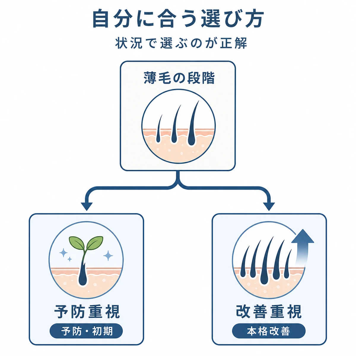 薄毛の段階から予防重視と改善重視の二方向へ分かれる育毛成分の選び方を表した医療イラスト