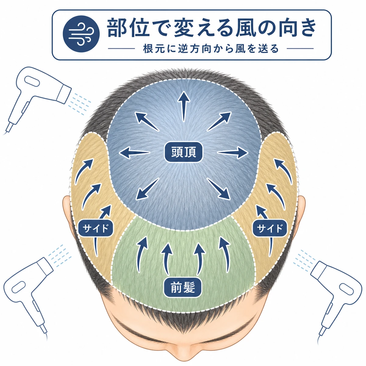 頭を真上から見て頭頂と前髪とサイドで風を当てる向きを分けた男性向けの乾かし方イラスト