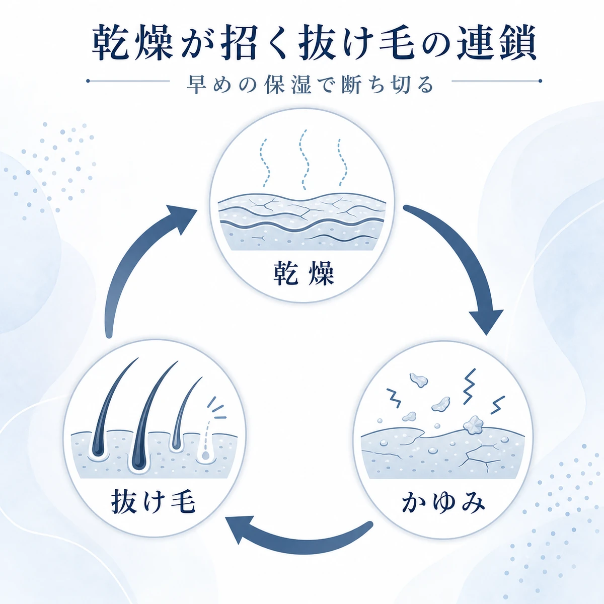頭皮の乾燥からかゆみ・抜け毛へと進む悪循環を円環で表した医療イラスト