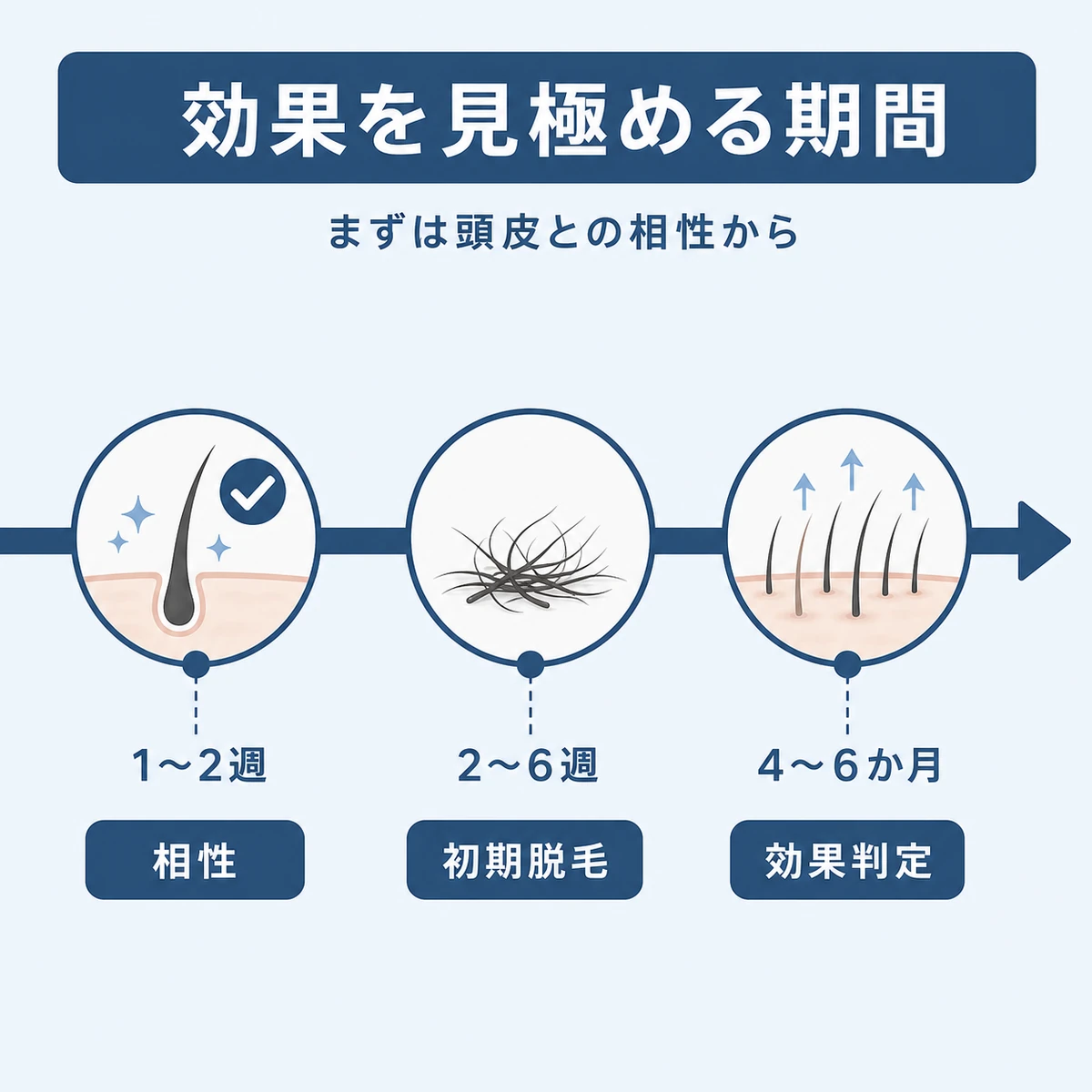 お試し期間から効果判定までの時間の流れを示した医療イラスト