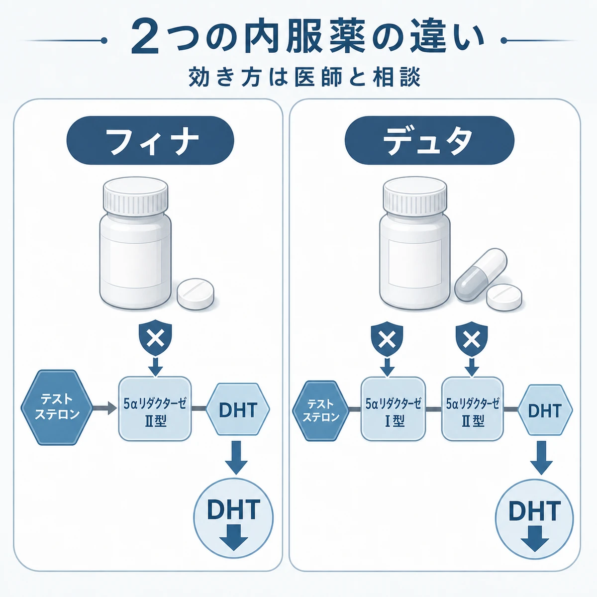 フィナステリドとデュタステリドの作用の違いを対比した医療イラスト