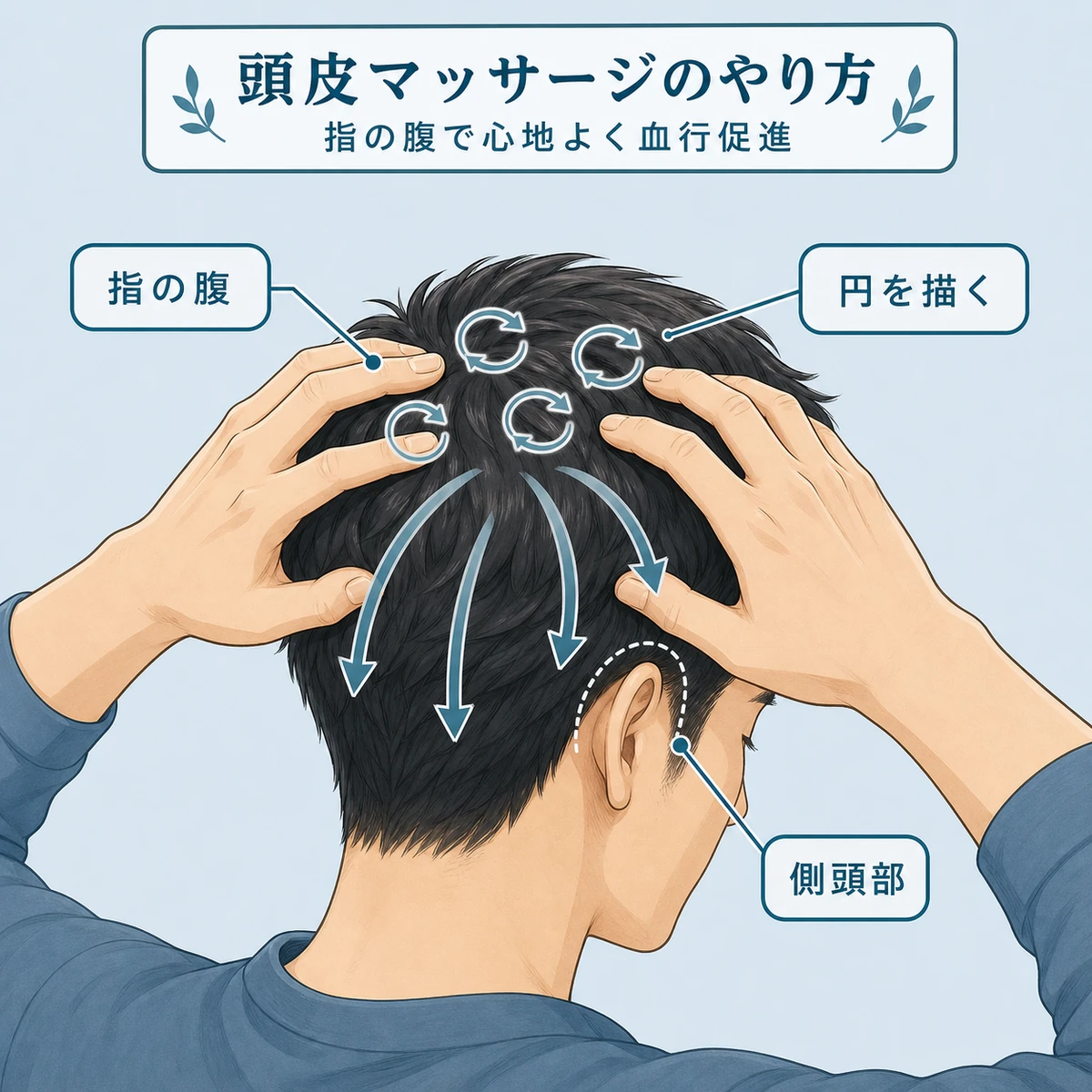 成人男性が指の腹でつむじから側頭部へ頭皮マッサージする様子を表した医療イラスト