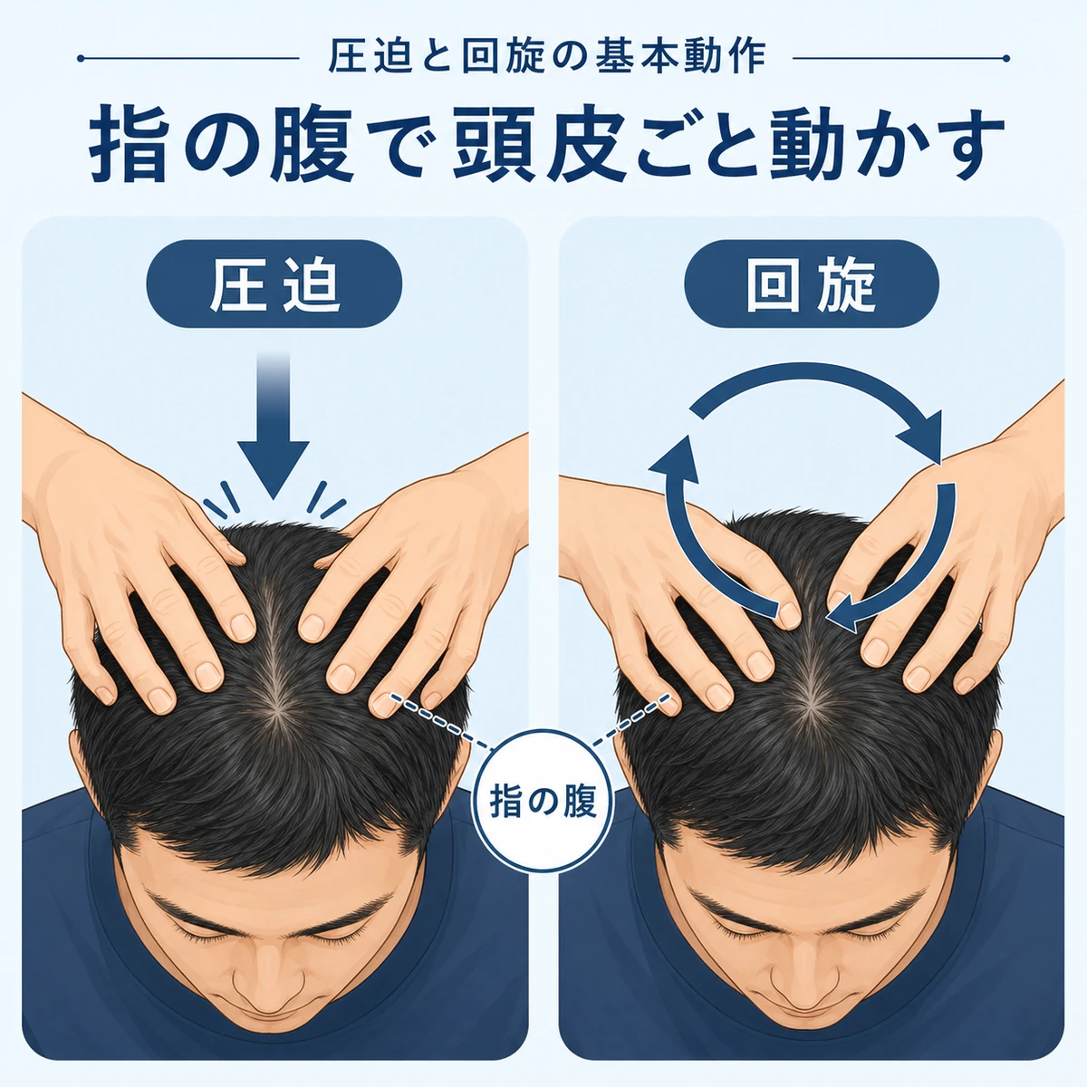 頭頂部を真上から見て圧迫と回旋の二つの基本マッサージ動作を左右で比べた医療イラスト