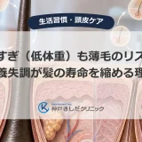 痩せすぎ（低体重）も薄毛のリスク？栄養失調が髪の寿命を縮める理由
